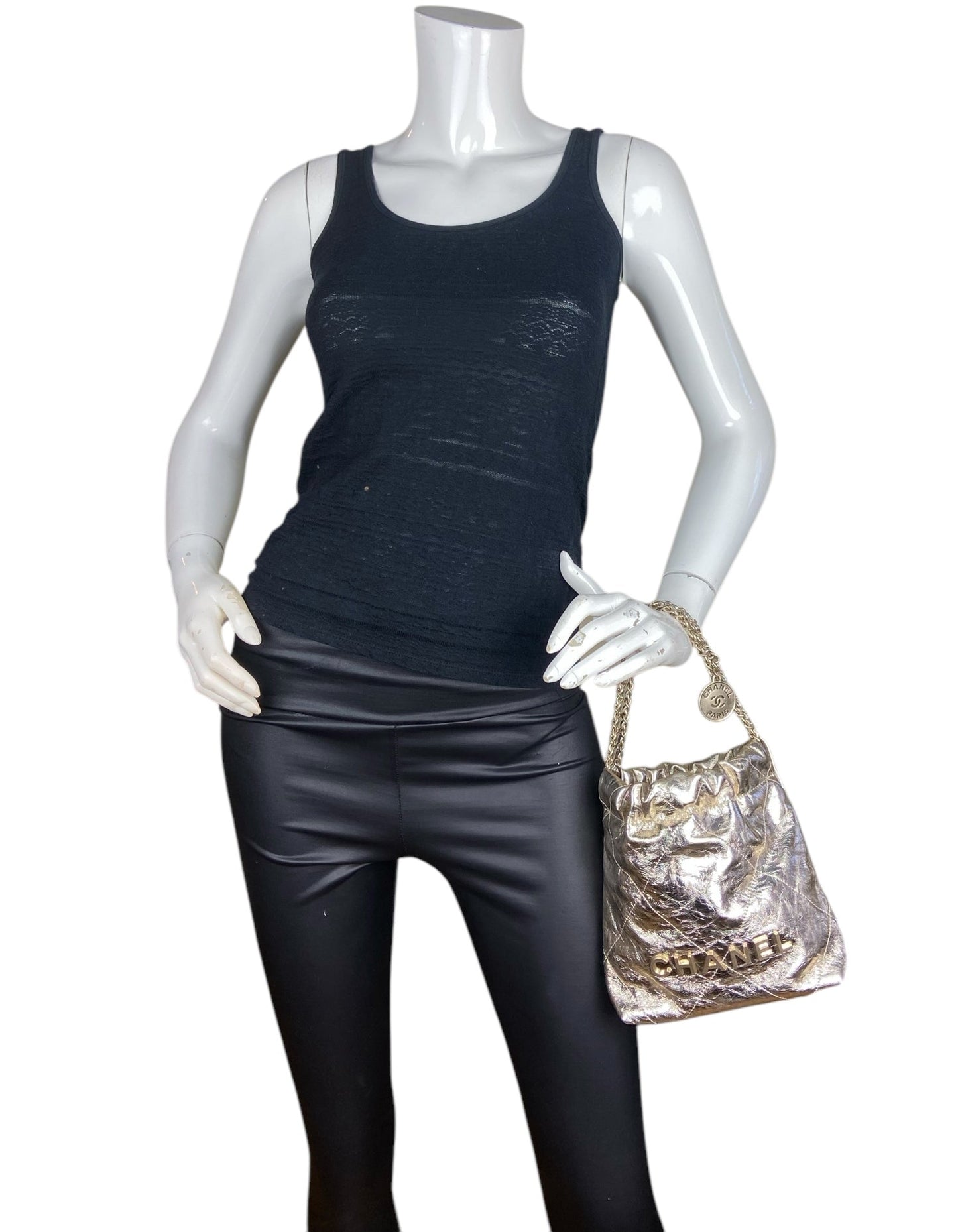 Chanel 2025 Metallic Calfskin Quilted Mini Chanel 22 Bag