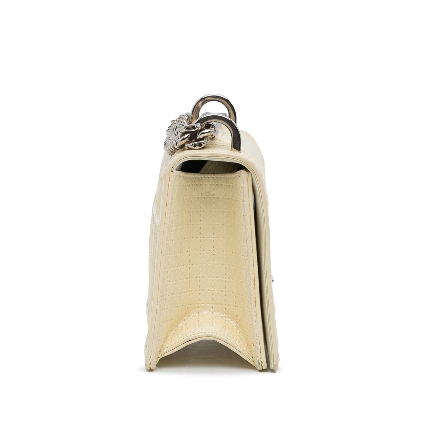 Dior Chain Leather Crossbody