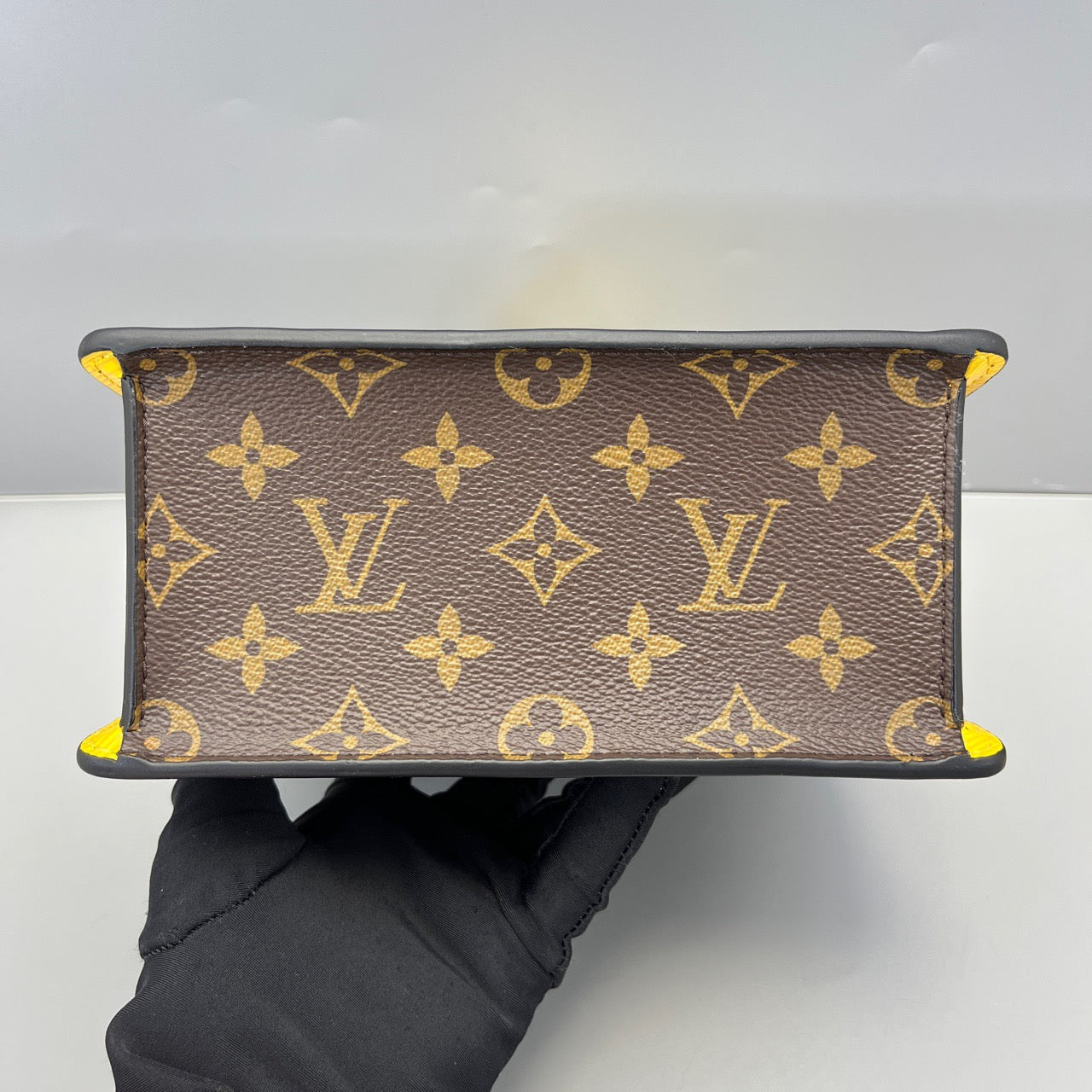 LOUIS VUITTON<br>Shoulder Bag