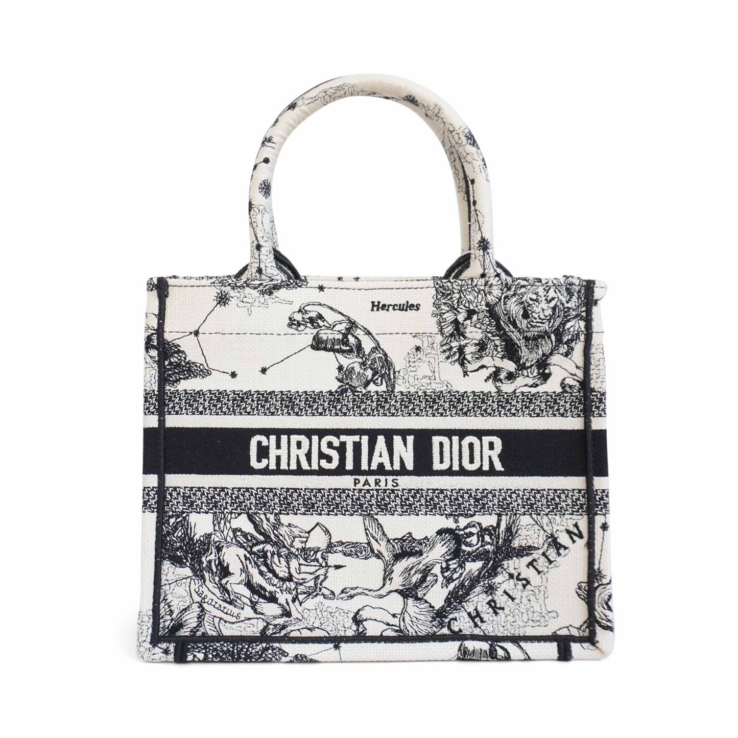 Dior Book Tote Canvas Tote