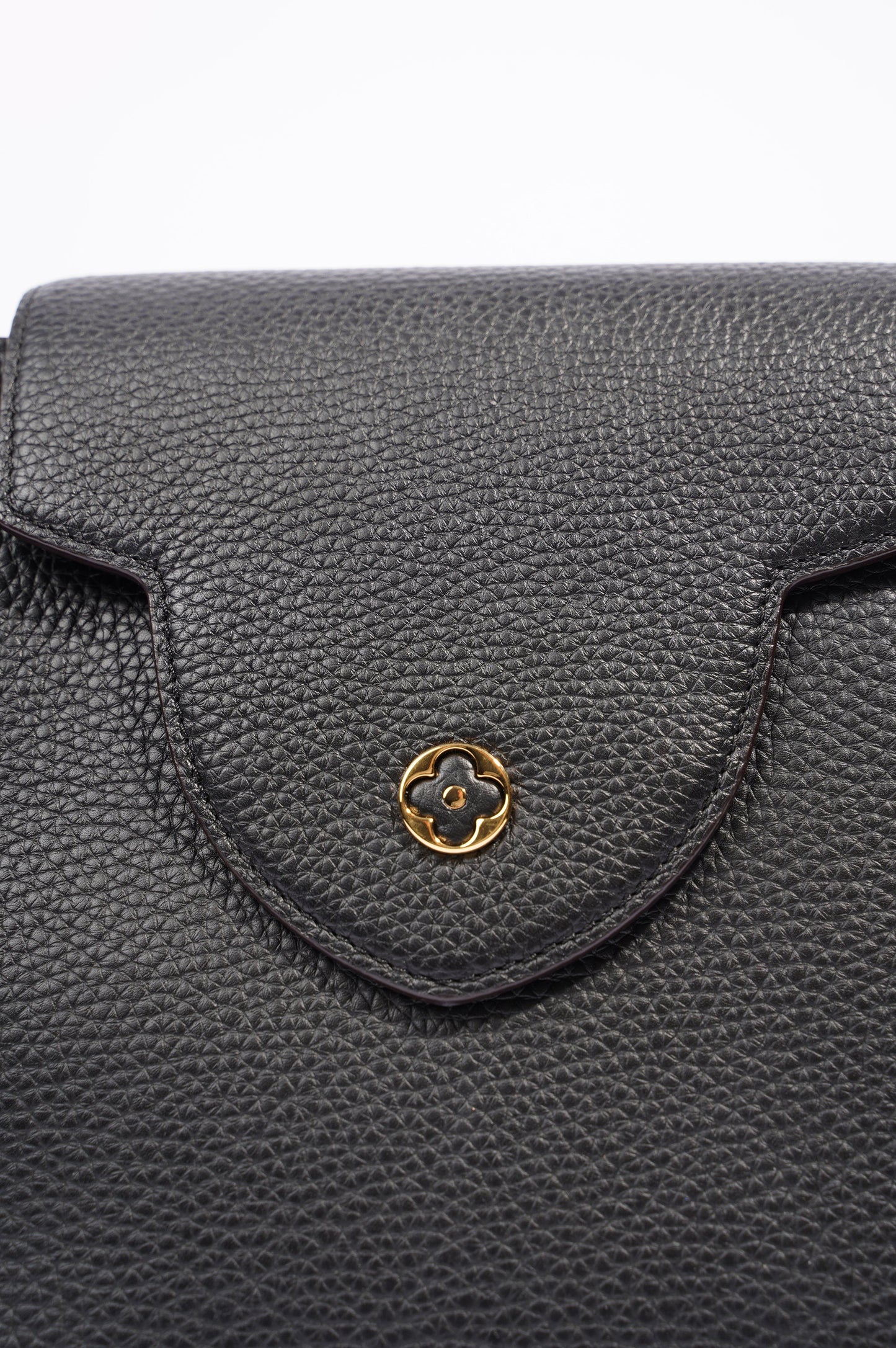 Louis Vuitton Womens Capucines Black Taurillon Leather MM Handbag