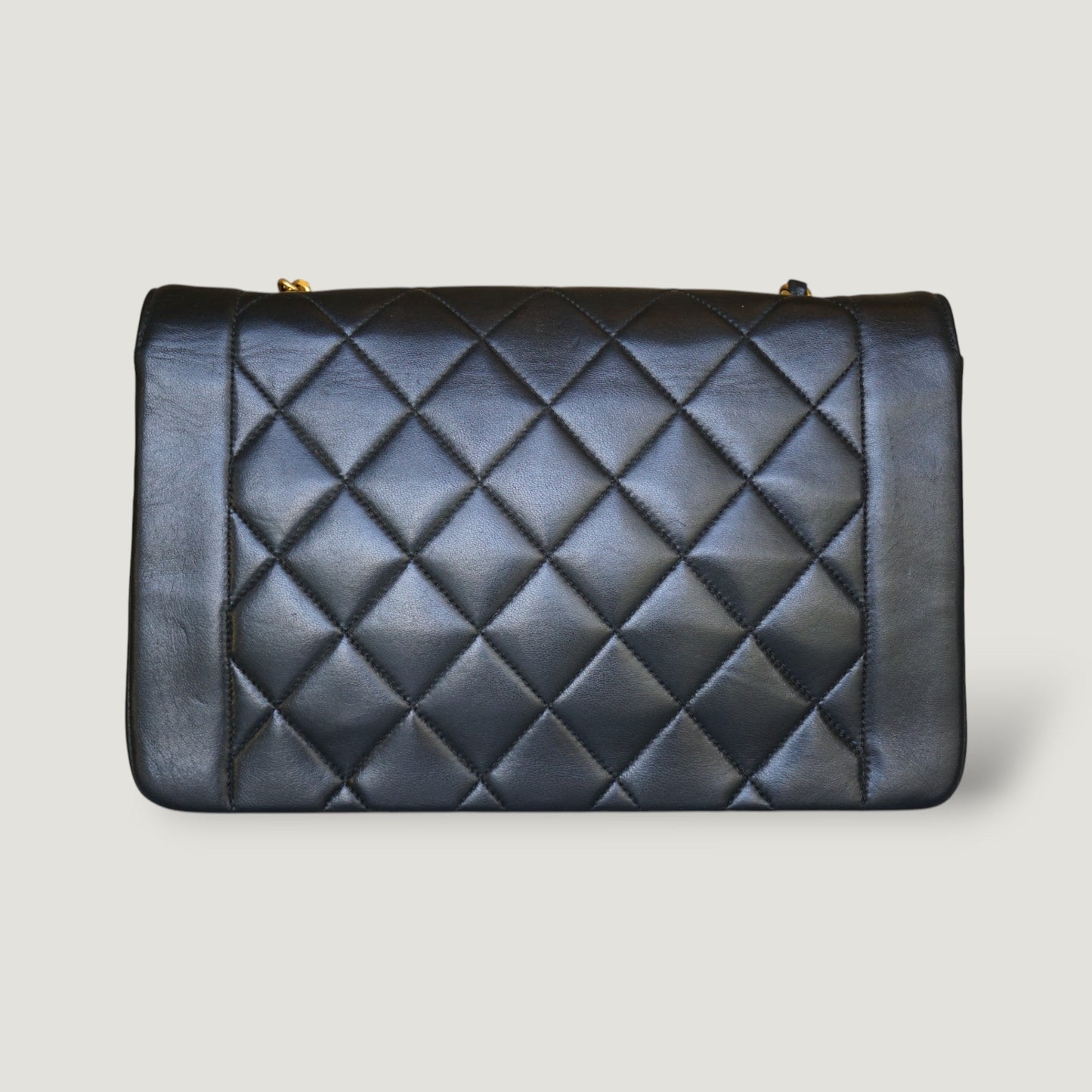 Chanel Diana Handbag Bag - Almora Bags