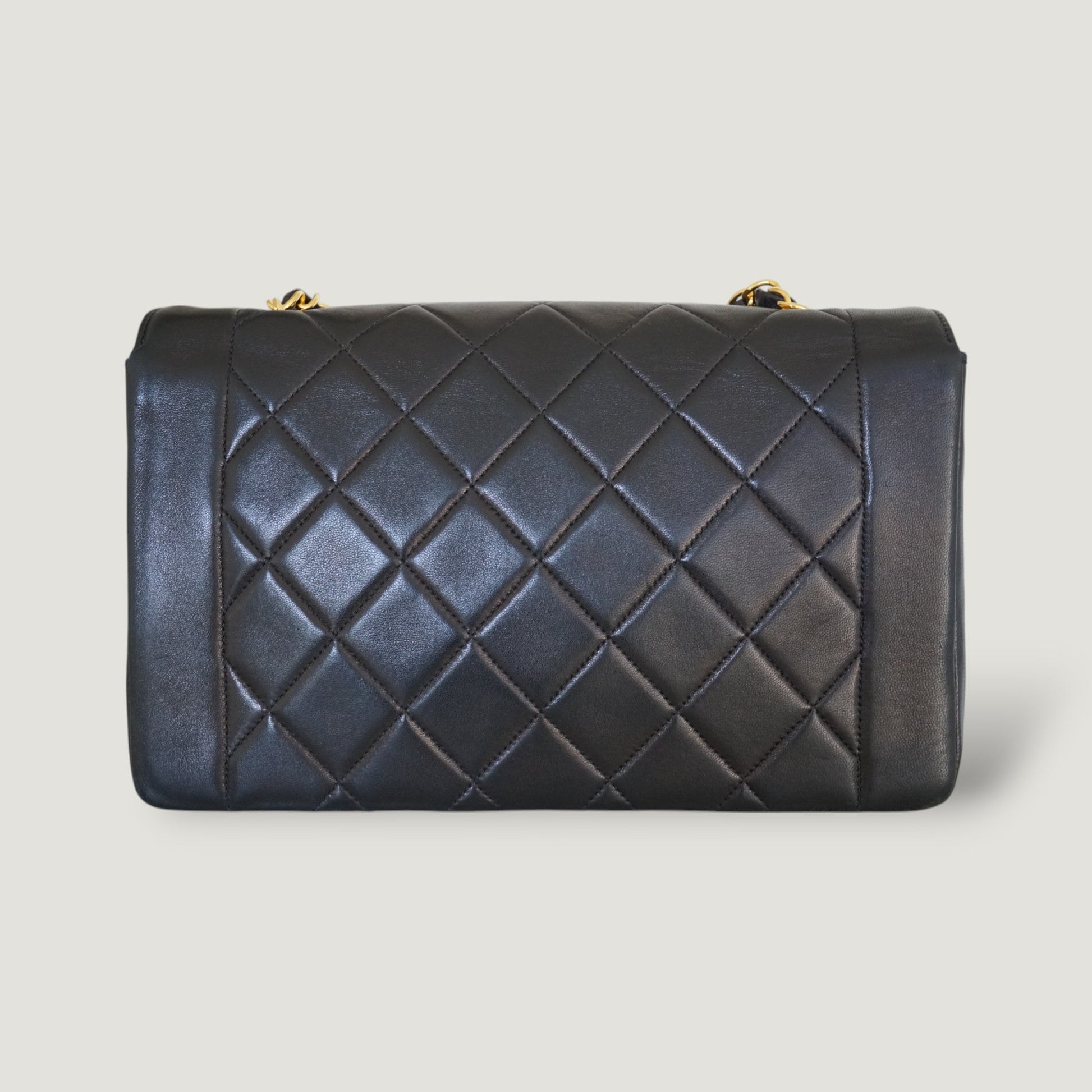 Chanel Diana Handbag Bag - Almora Bags