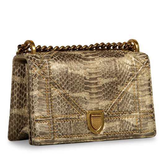 Dior Crossbody