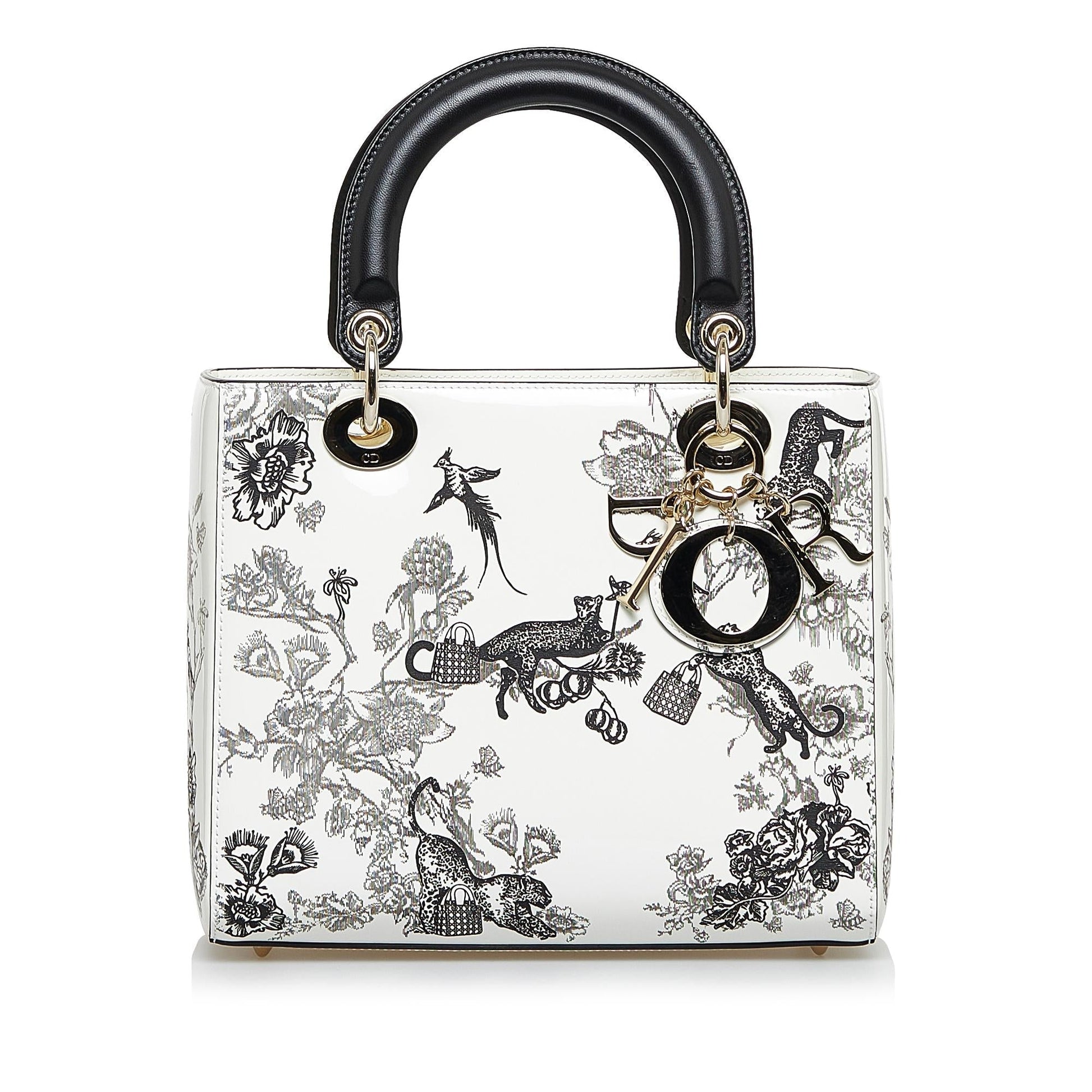 Saint Laurent Lady Dior Leather Mini Handbag