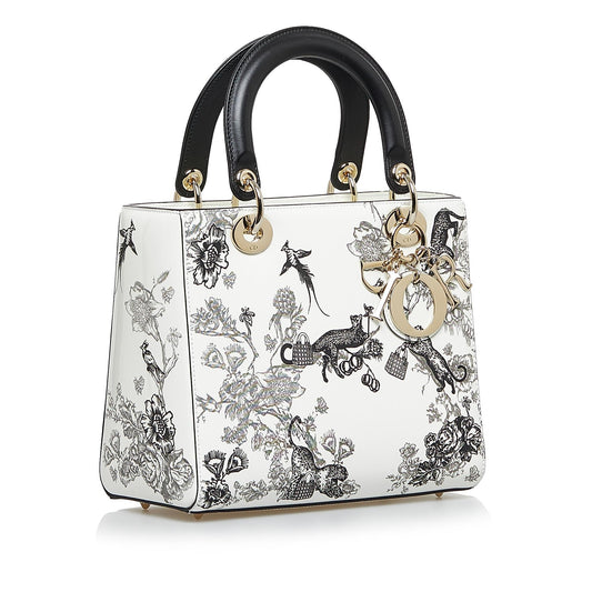 Saint Laurent Lady Dior Leather Mini Handbag