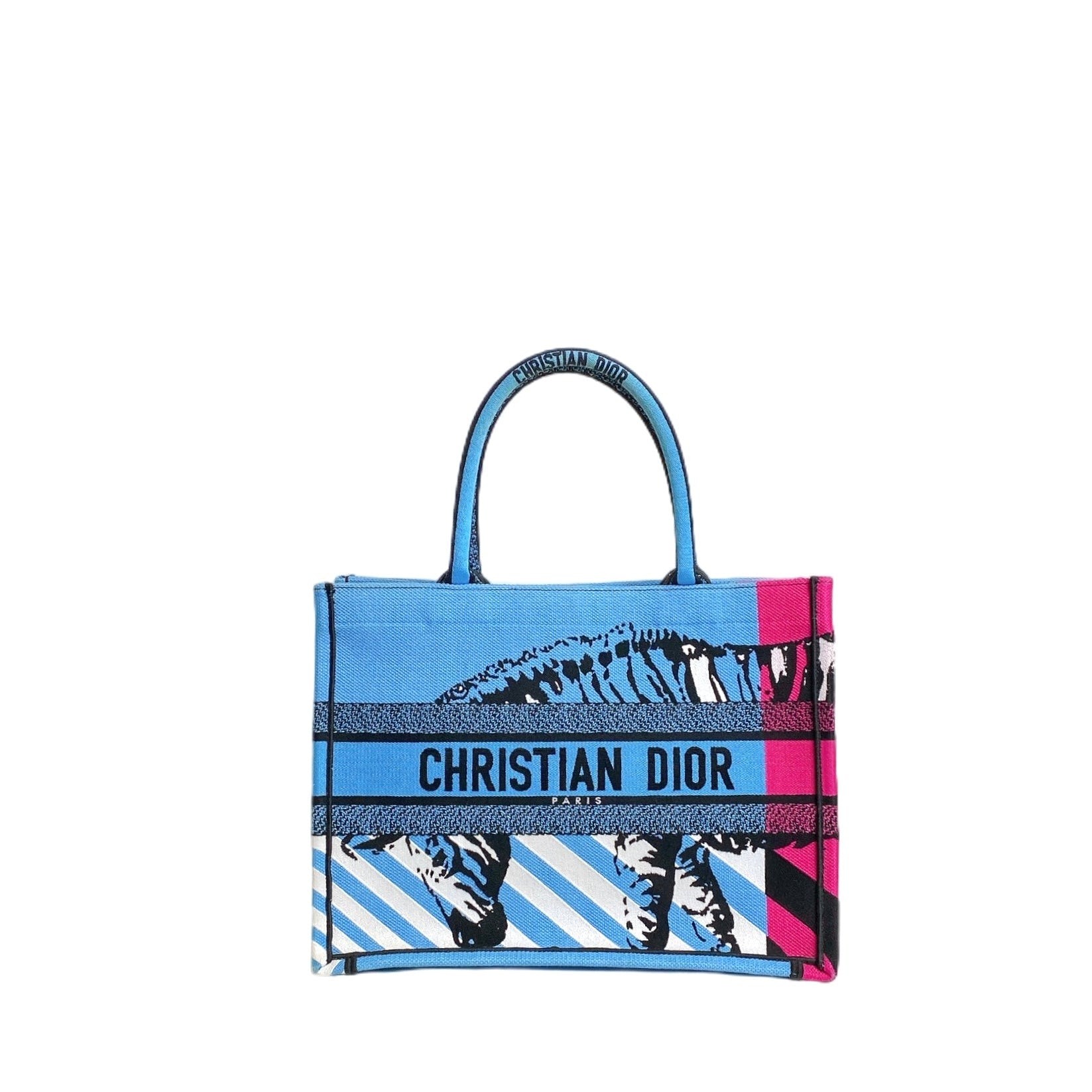 Dior Lou Book Tote Canvas Tote