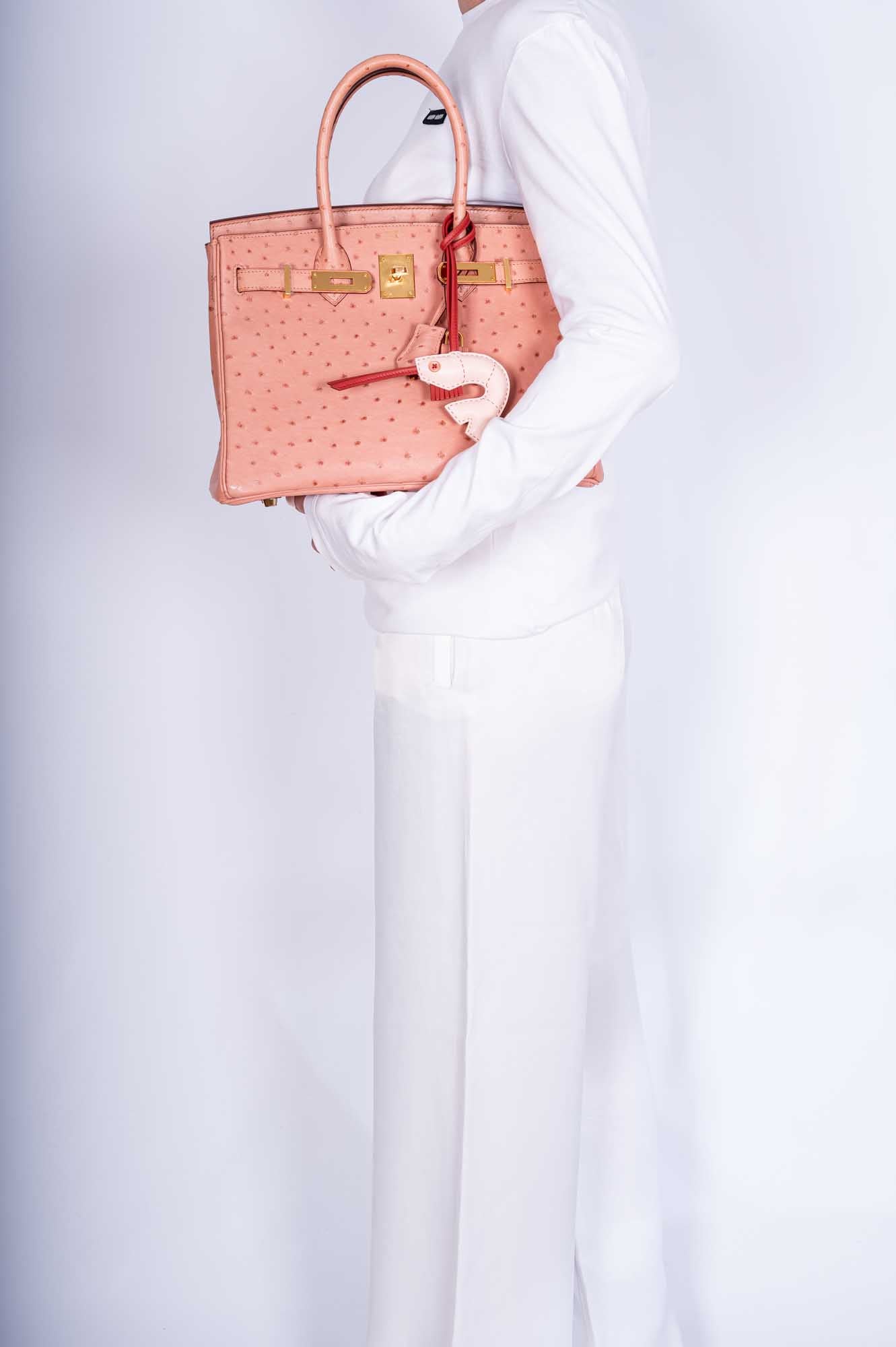 HermesBirkin 30 Terre Cuite Ostrich Gold Hardware