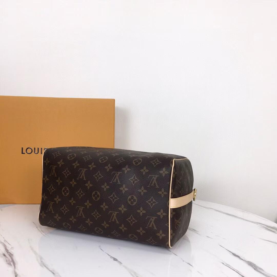 Louis Vuitton Monogram Bag