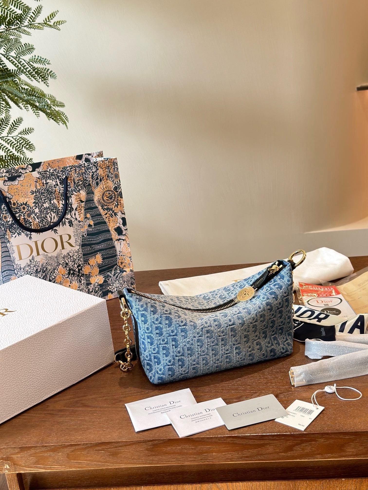 Dior Chain Shoulder Bag