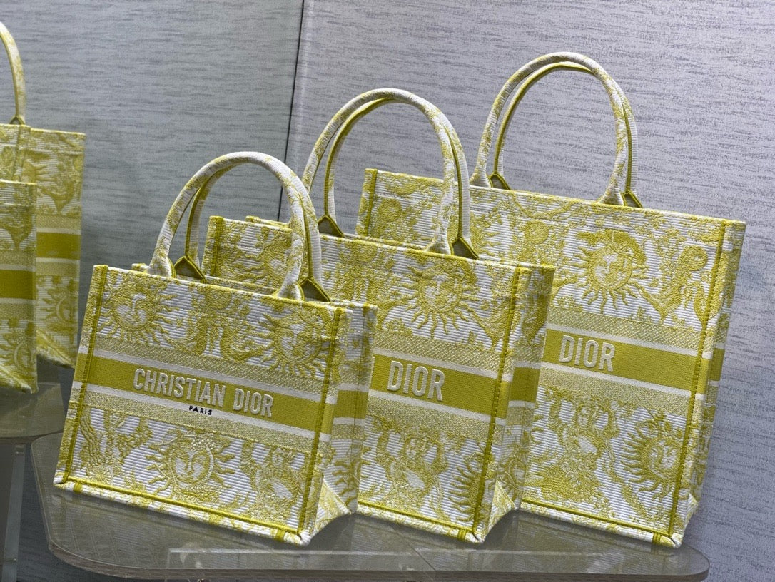 Dior Book Tote Tote