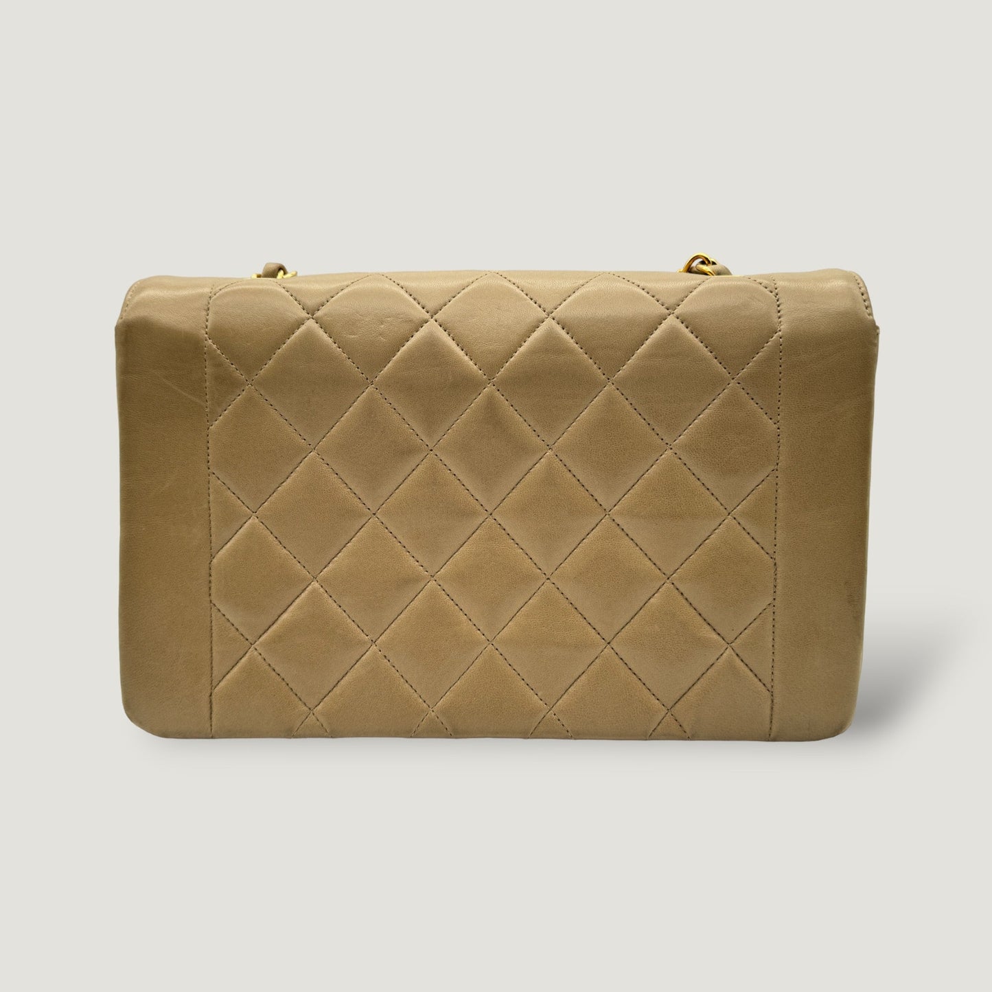 Chanel Diana Handbag Bag - Almora Bags