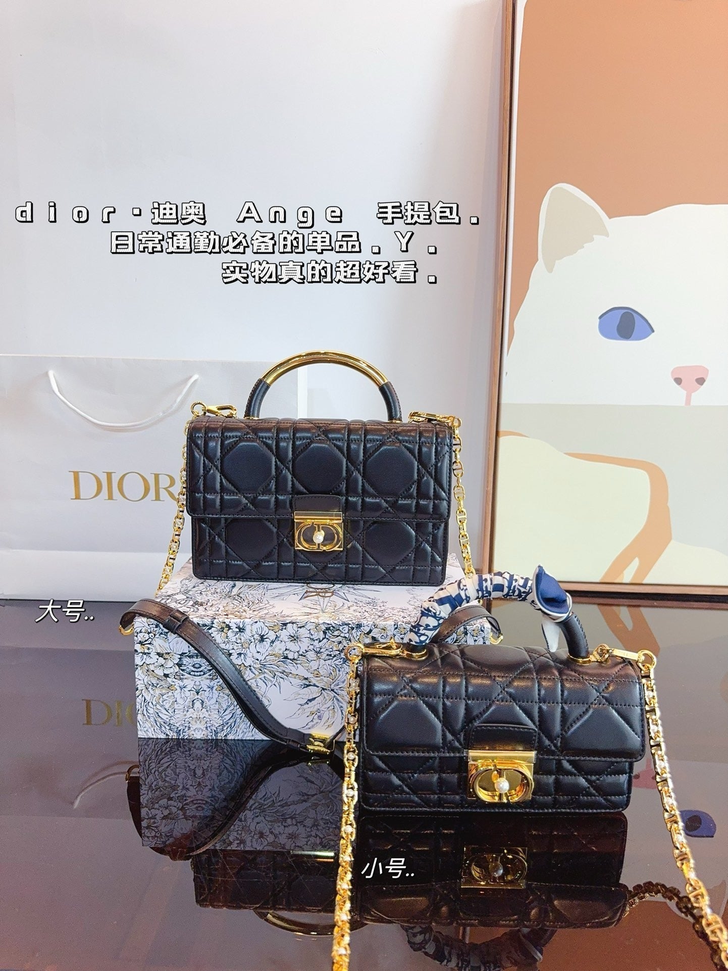Dior Chain Leather Crossbody