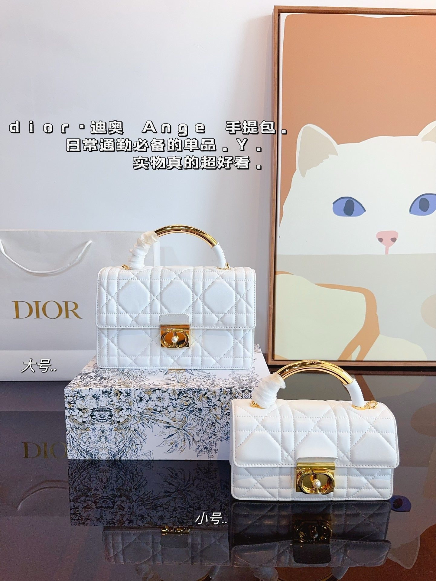 Dior Chain Leather Crossbody