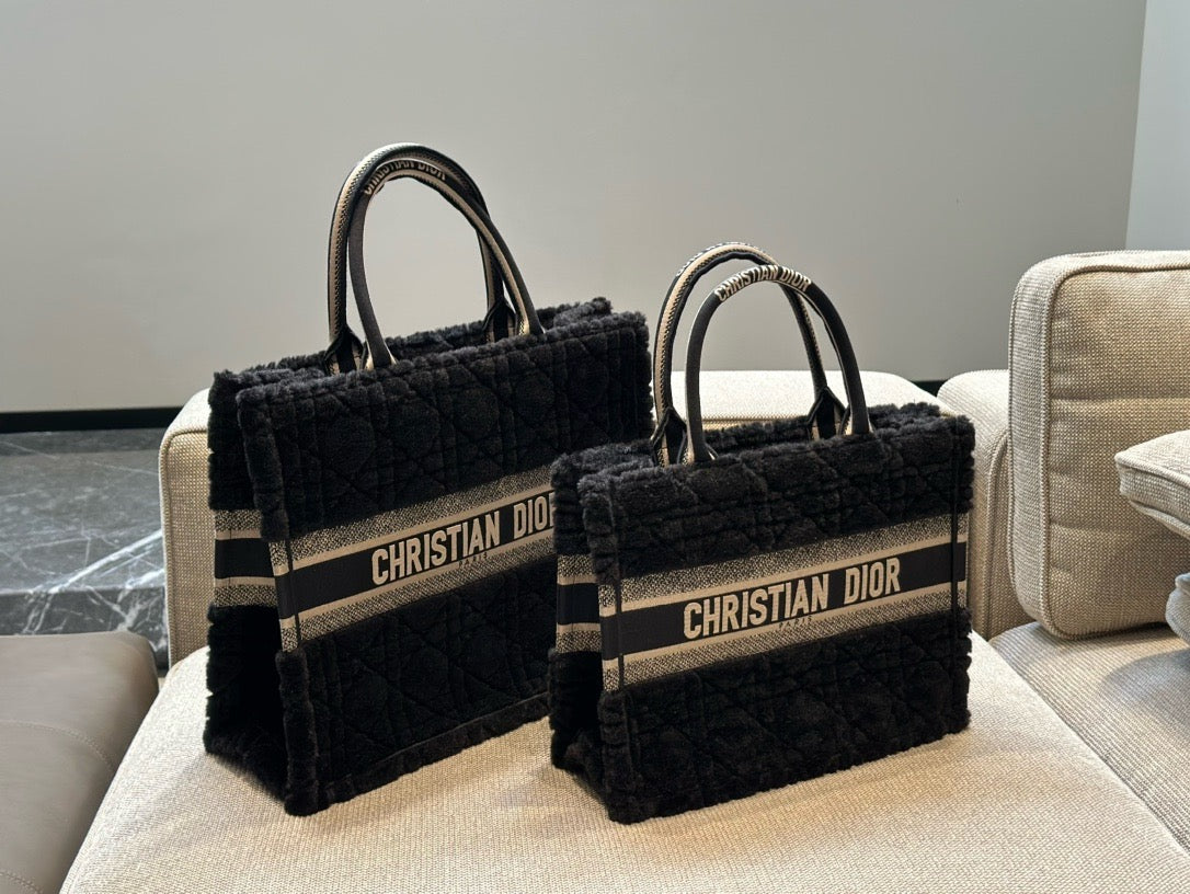 Dior Book Tote Tote