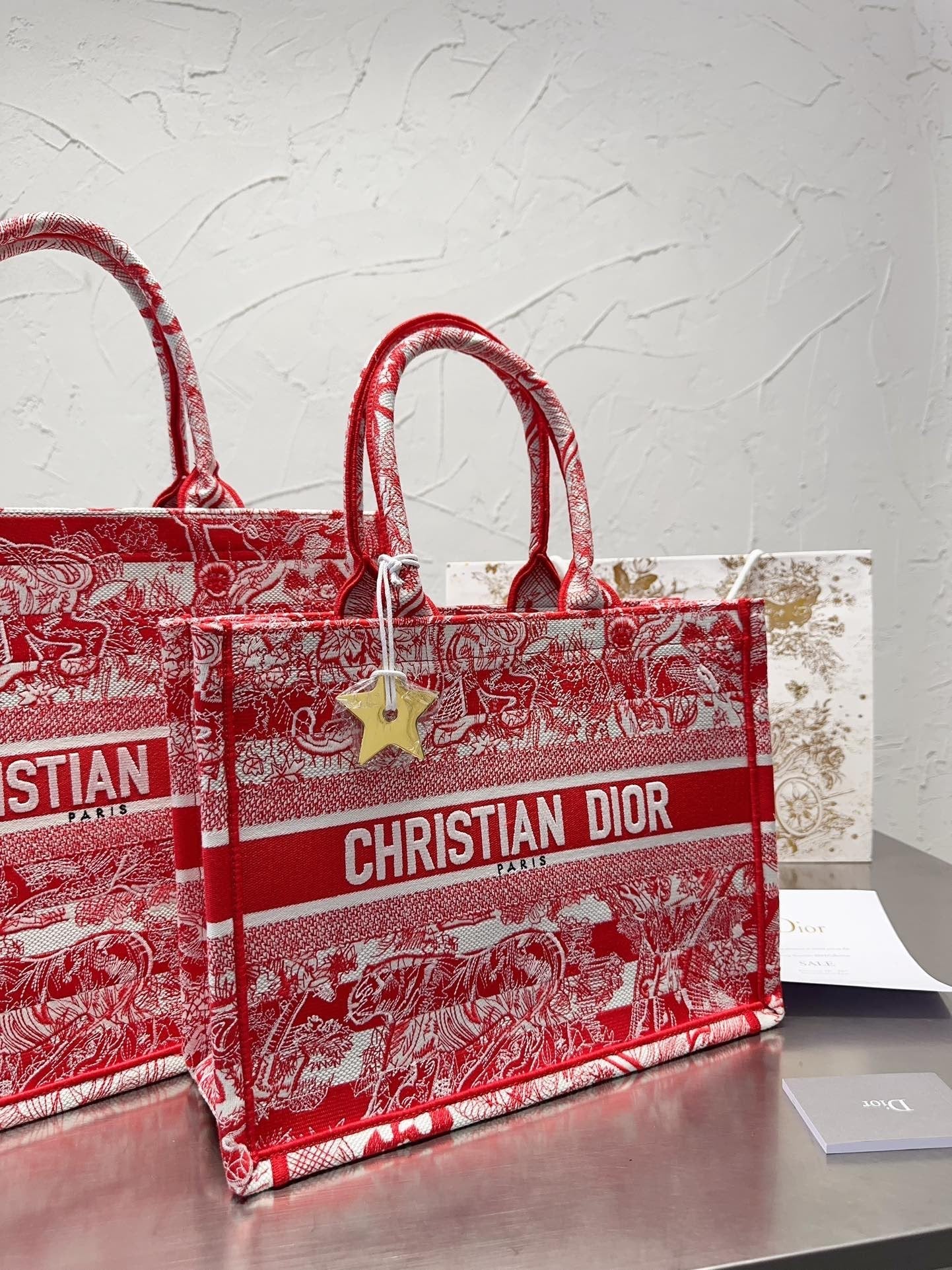 Dior Book Tote Tote