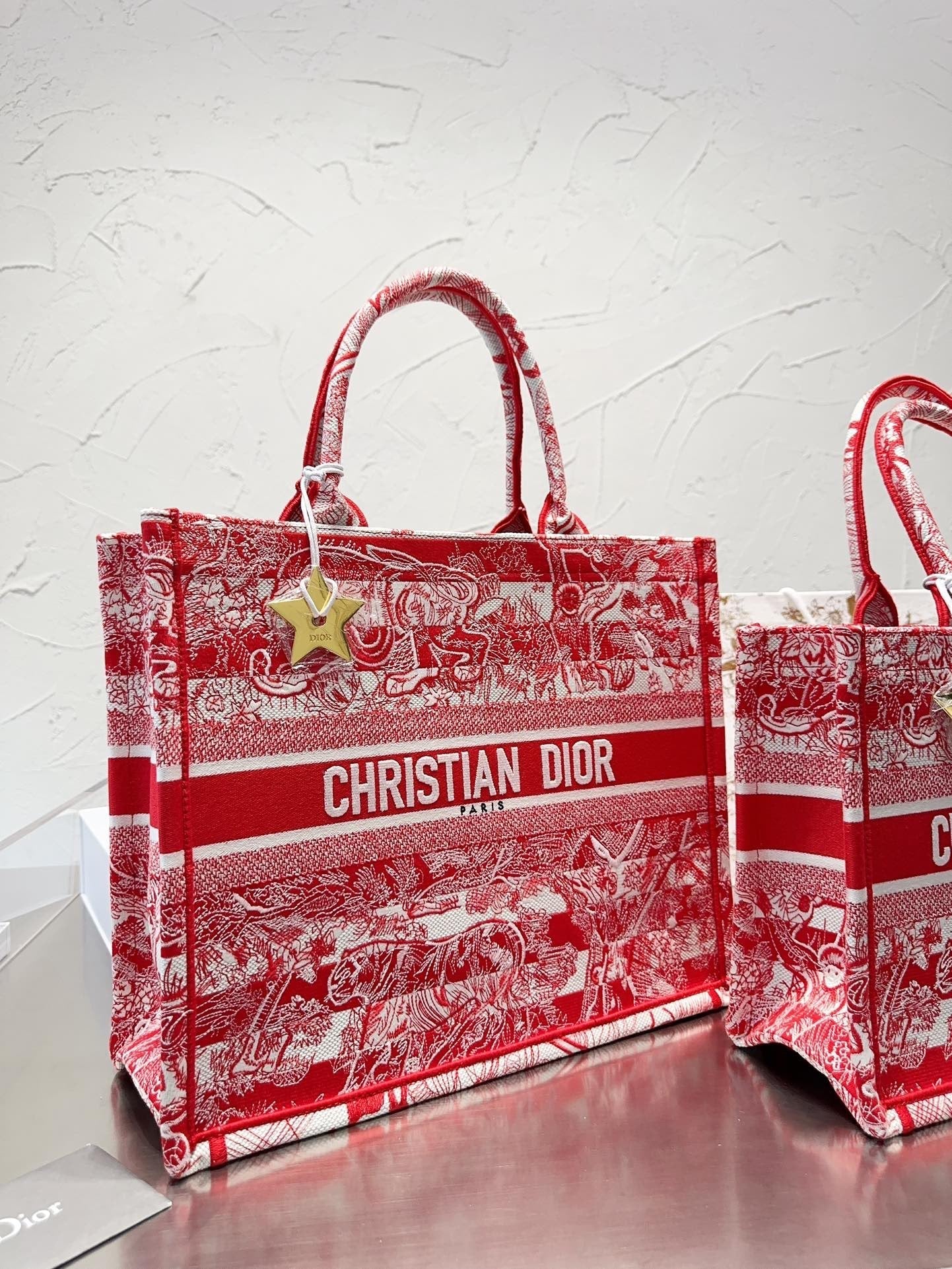 Dior Book Tote Tote