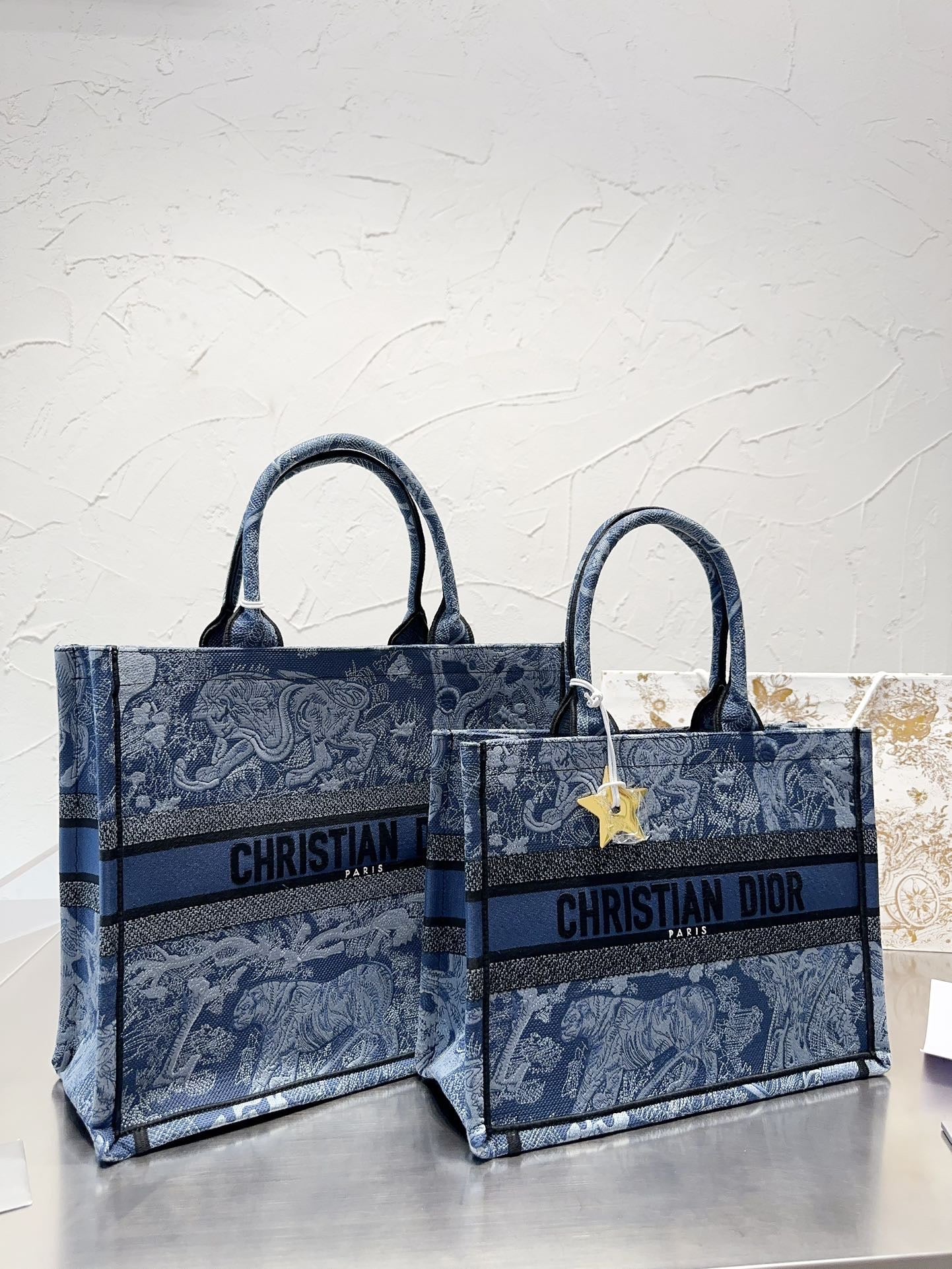 Dior Book Tote Tote