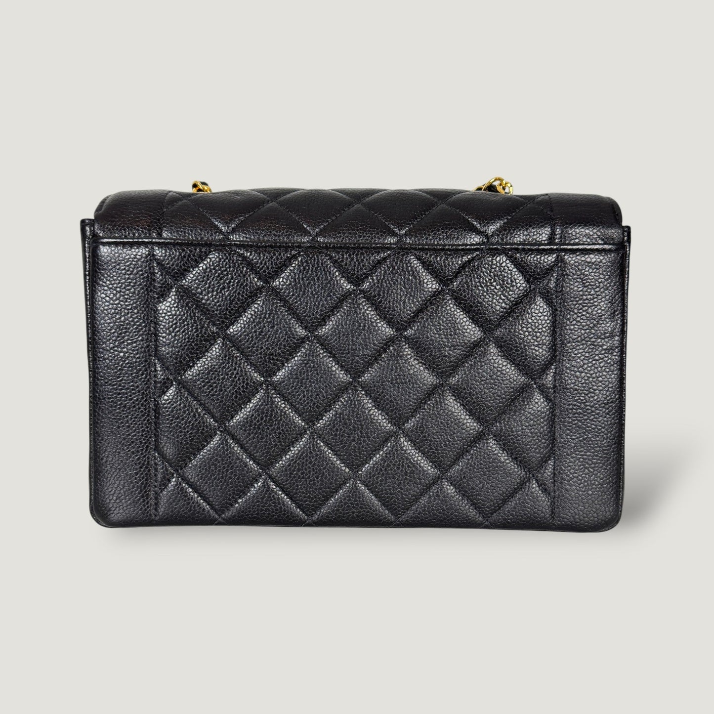 Chanel Diana Handbag Bag - Almora Bags
