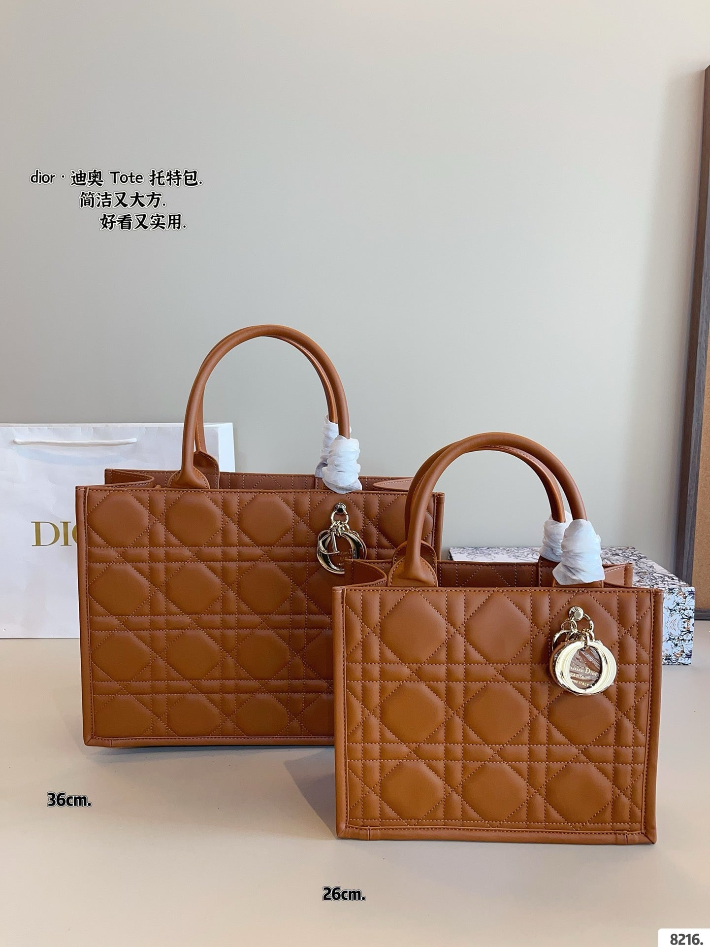 Dior Book Tote Tote