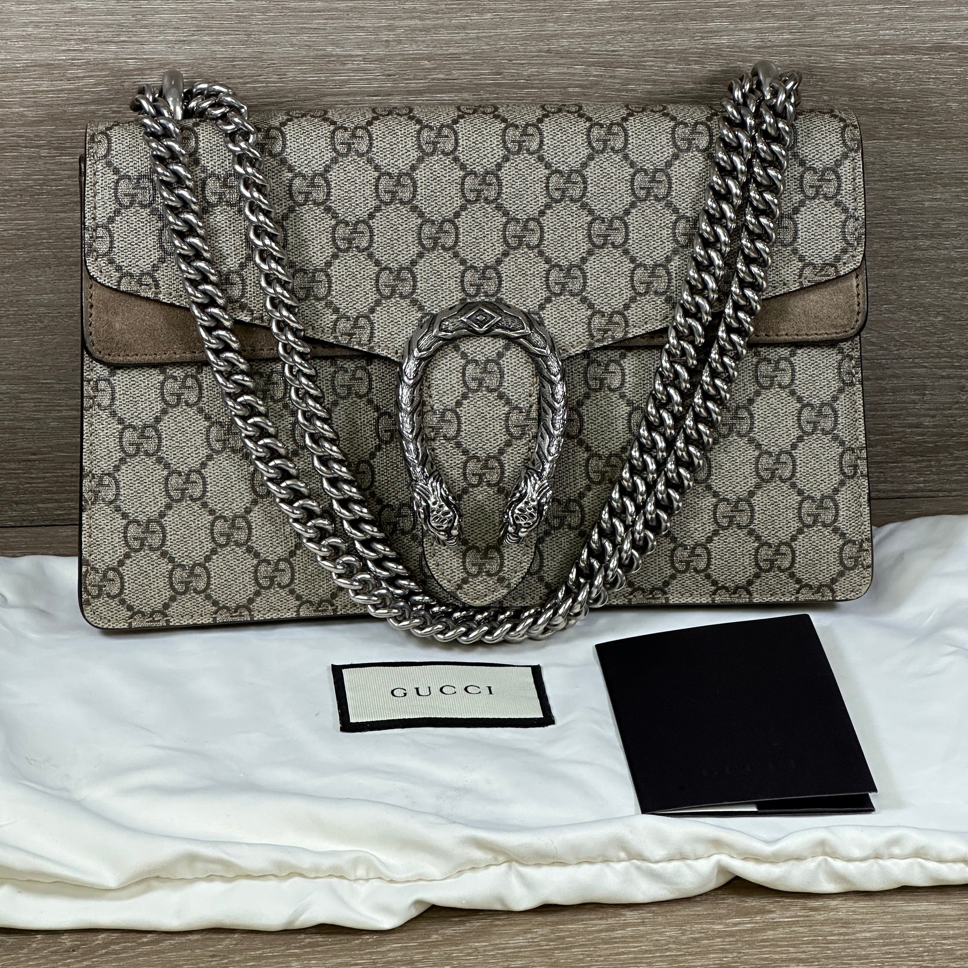 Gucci Canvas Shoulder Bag