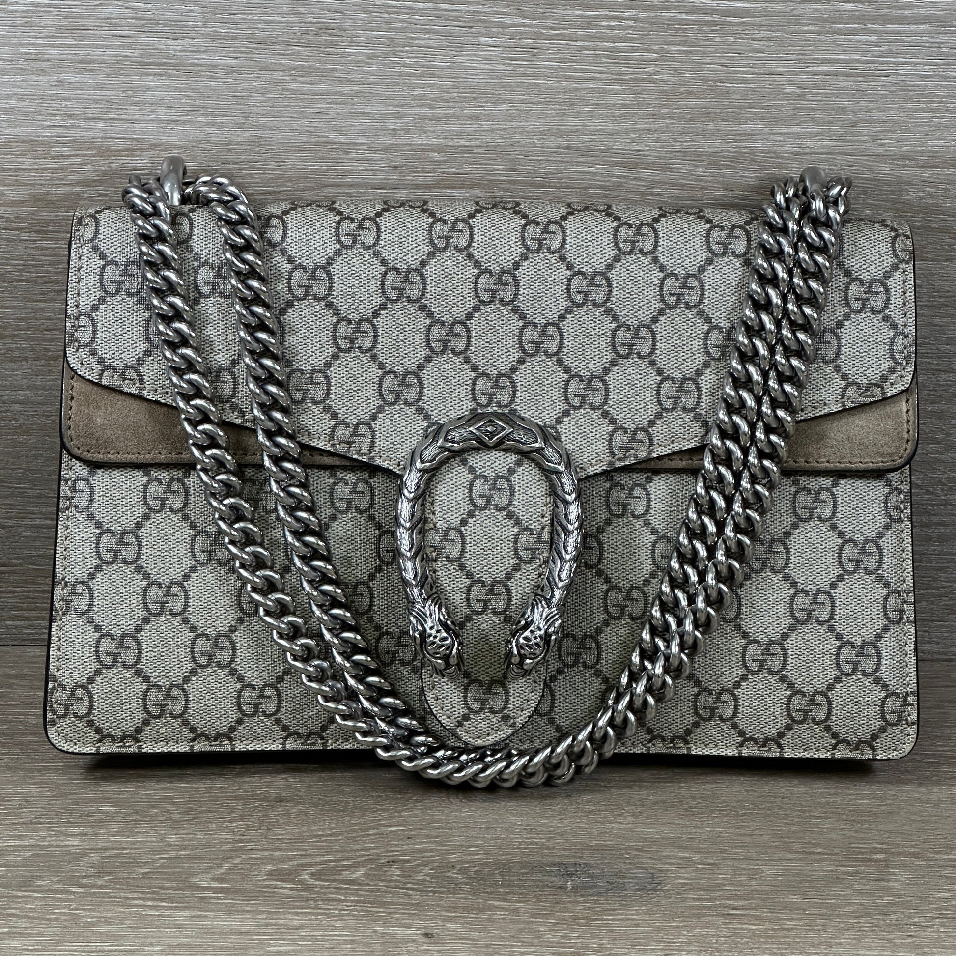 Gucci Canvas Shoulder Bag