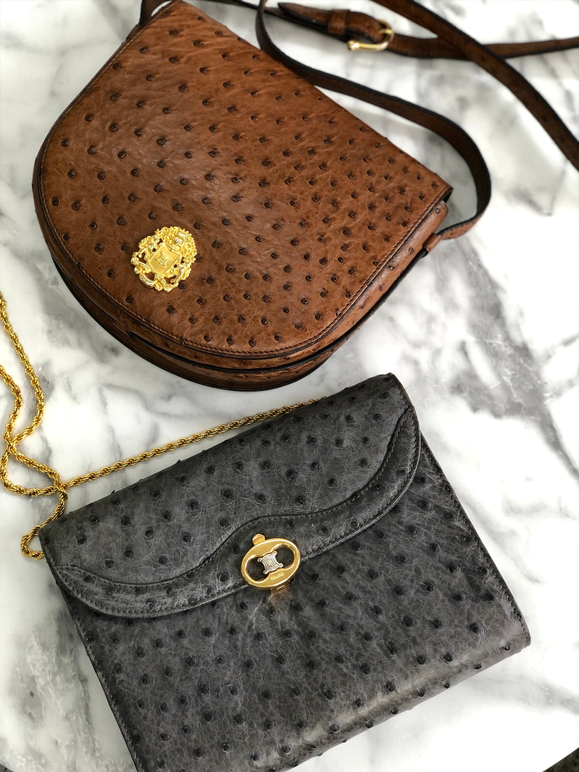 CELINE Triomphe Ostrich Two way Chain Shoulder Bag Clutch bag Gray Old Celine vybyhv