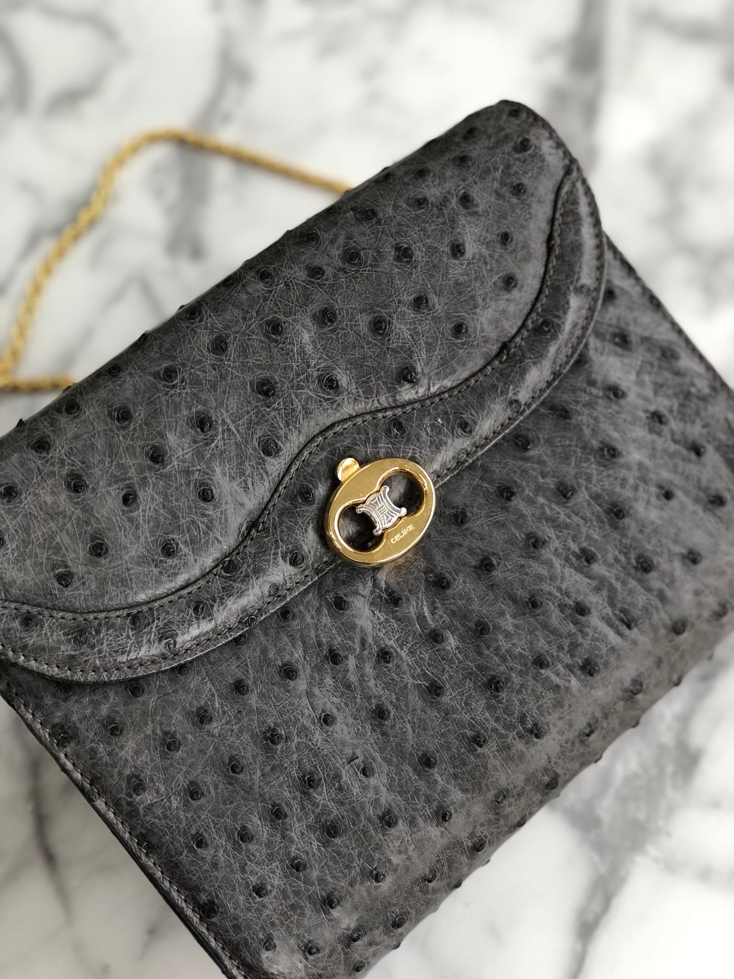 CELINE Triomphe Ostrich Two way Chain Shoulder Bag Clutch bag Gray Old Celine vybyhv