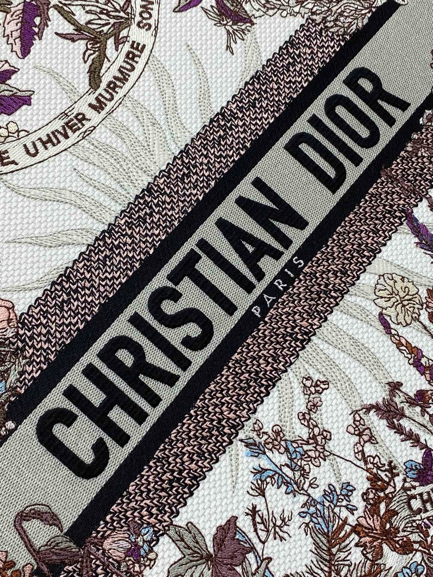 Dior Book Tote Tote
