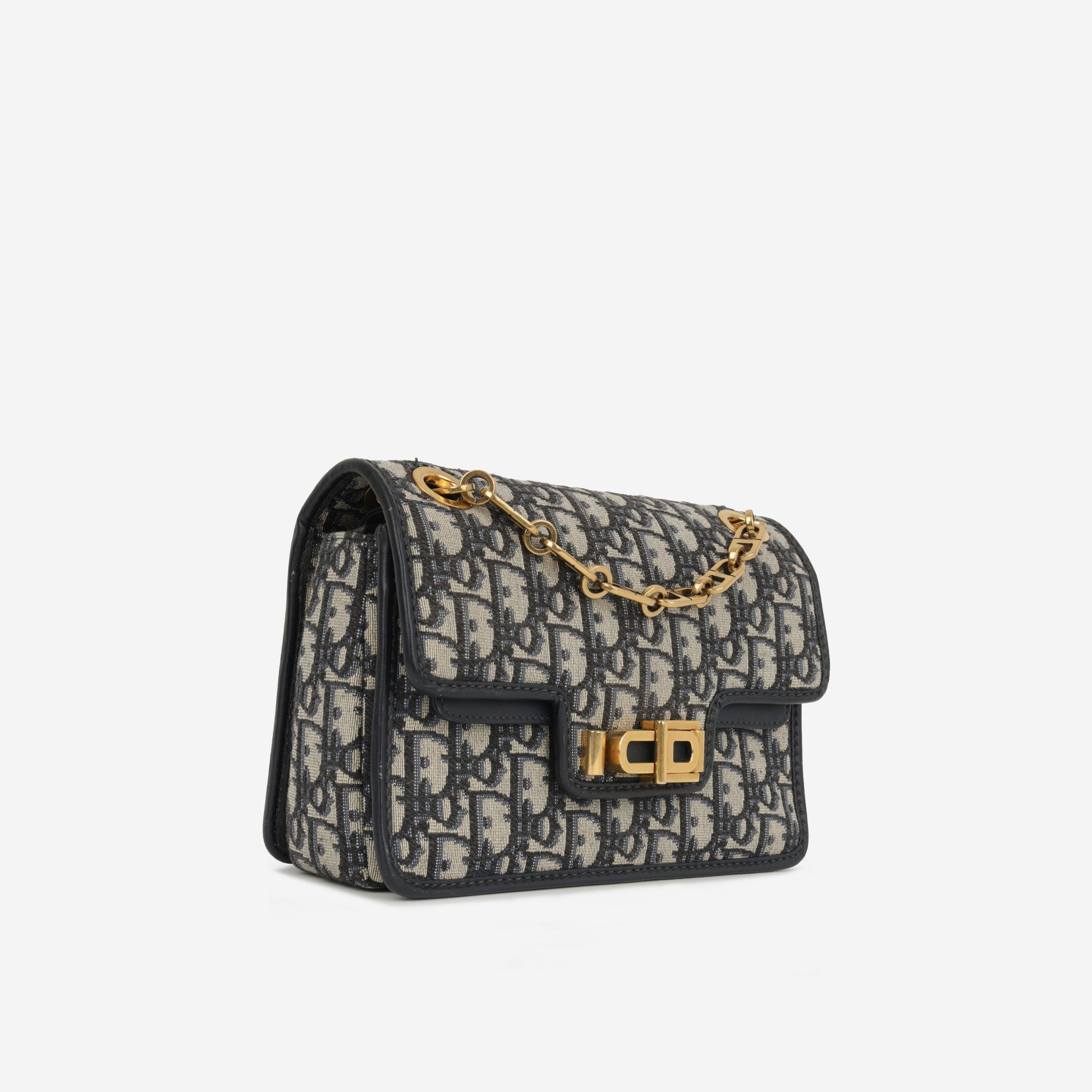 Dior Chain Leather Crossbody