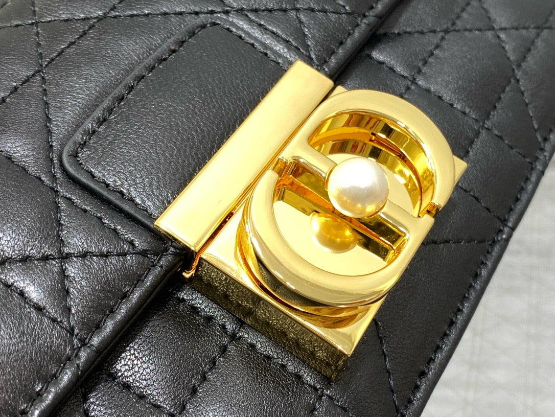 Dior Chain Leather Crossbody