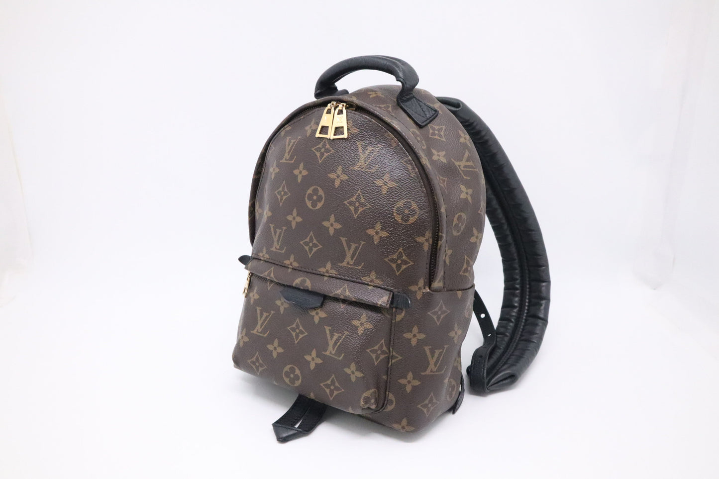 Louis Vuitton Palm Springs Backpack PM in Monogram Canvas