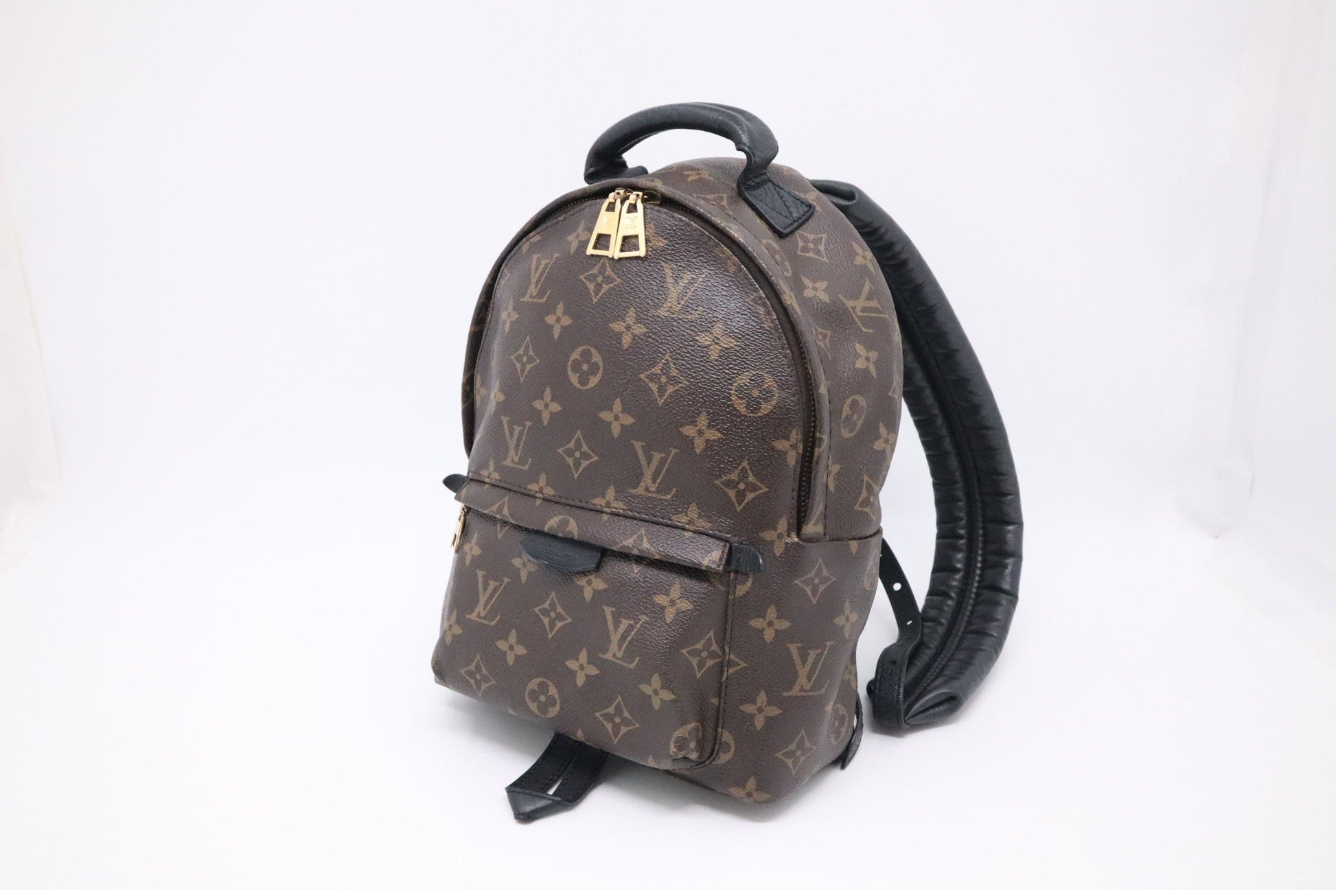 Louis Vuitton Palm Springs Backpack PM in Monogram Canvas