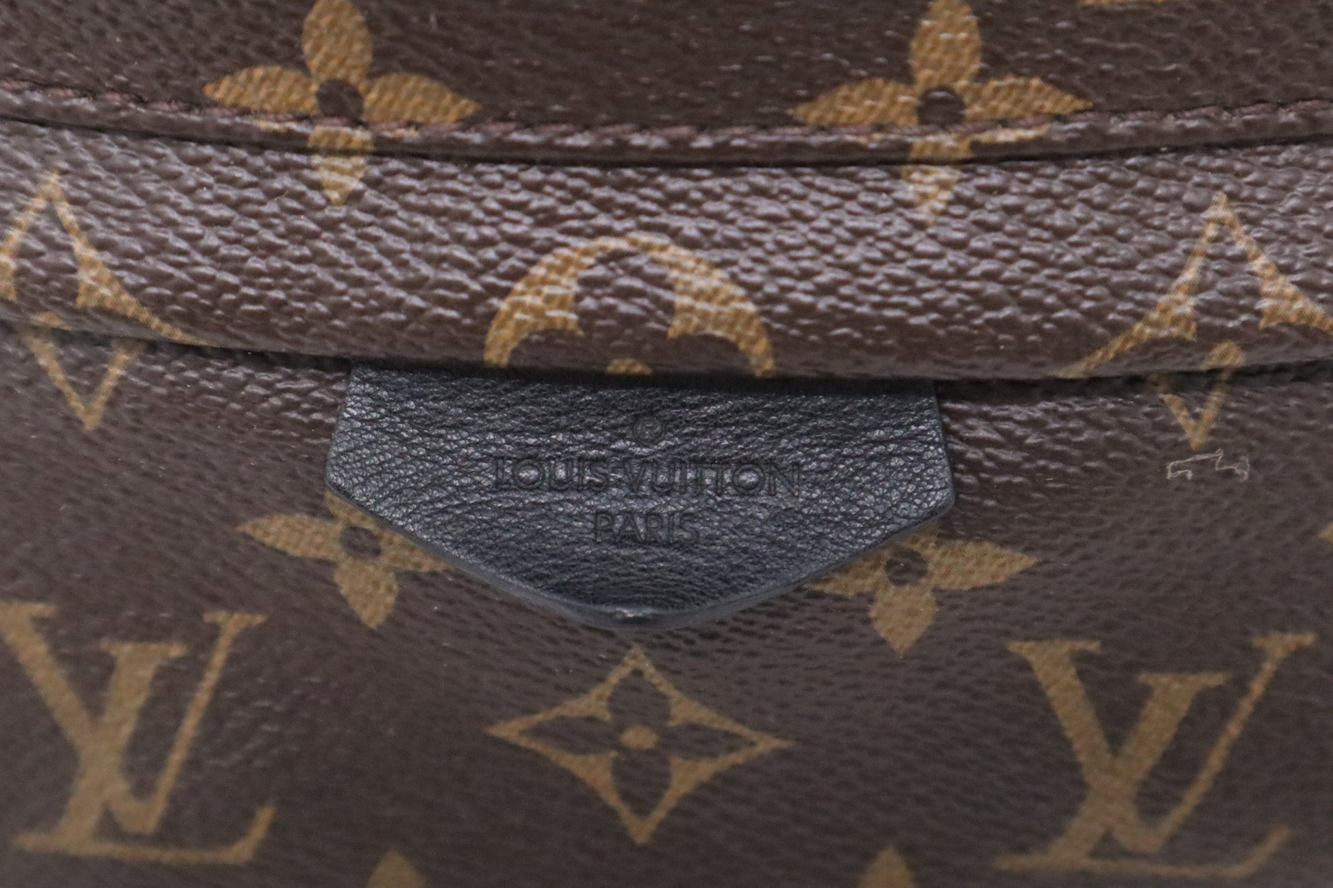 Louis Vuitton Palm Springs Backpack PM in Monogram Canvas