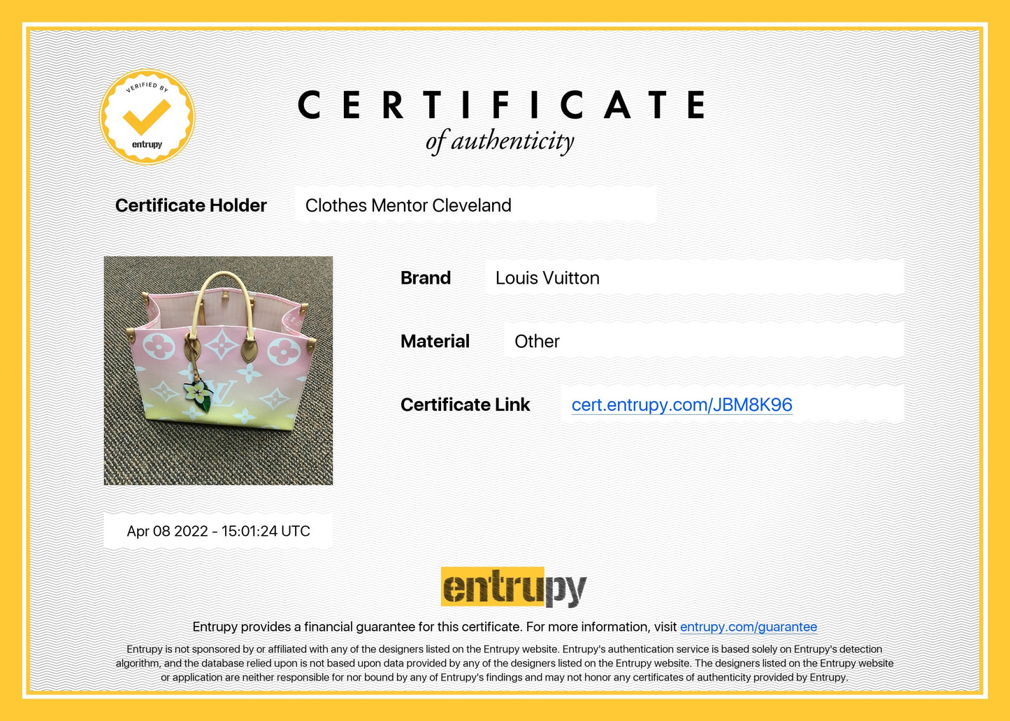 Louis Vuitton Handbag Designer
