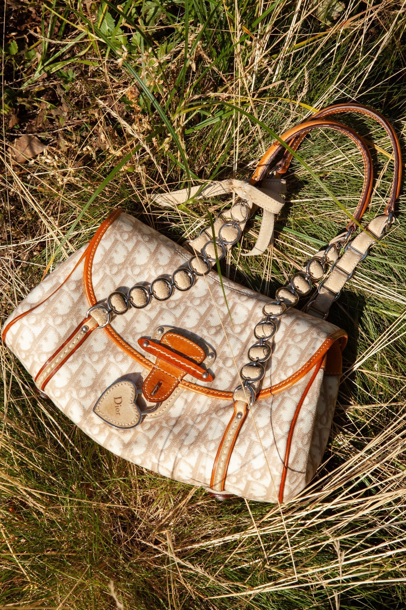 Dior Shoulder Bag