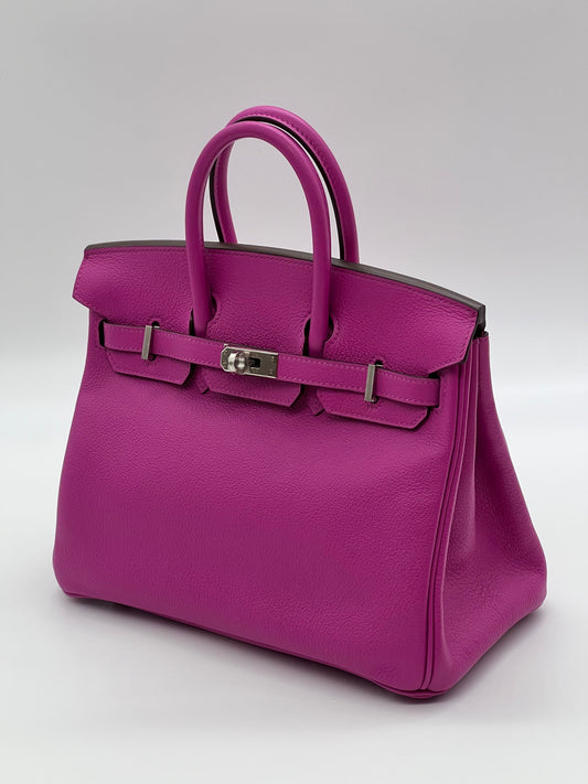 Hermes Birkin 25 Verso Magnolia Capucine Novillo Leather Palladium Hardware