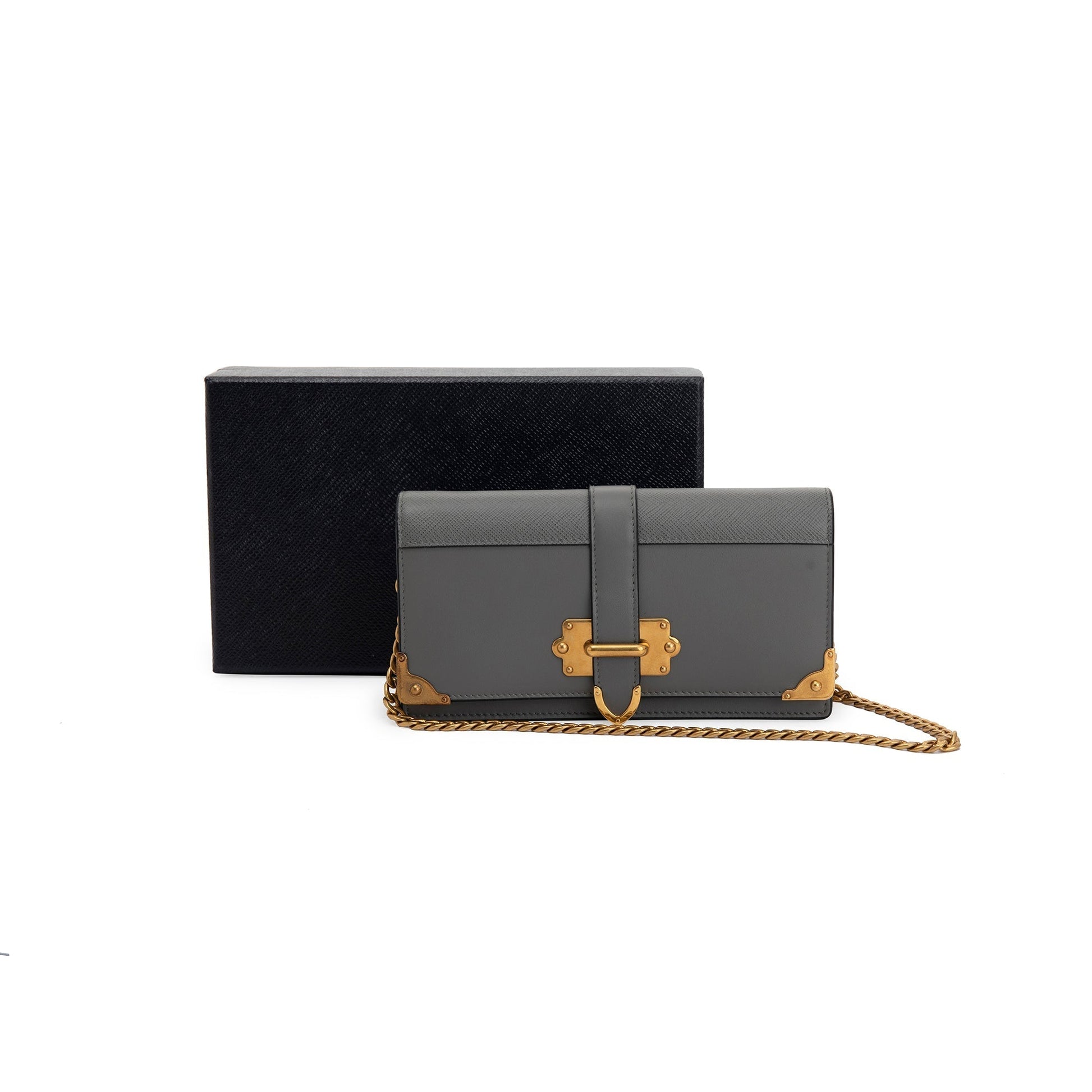 Prada Grey City Calf Cahier Wallet on Chain