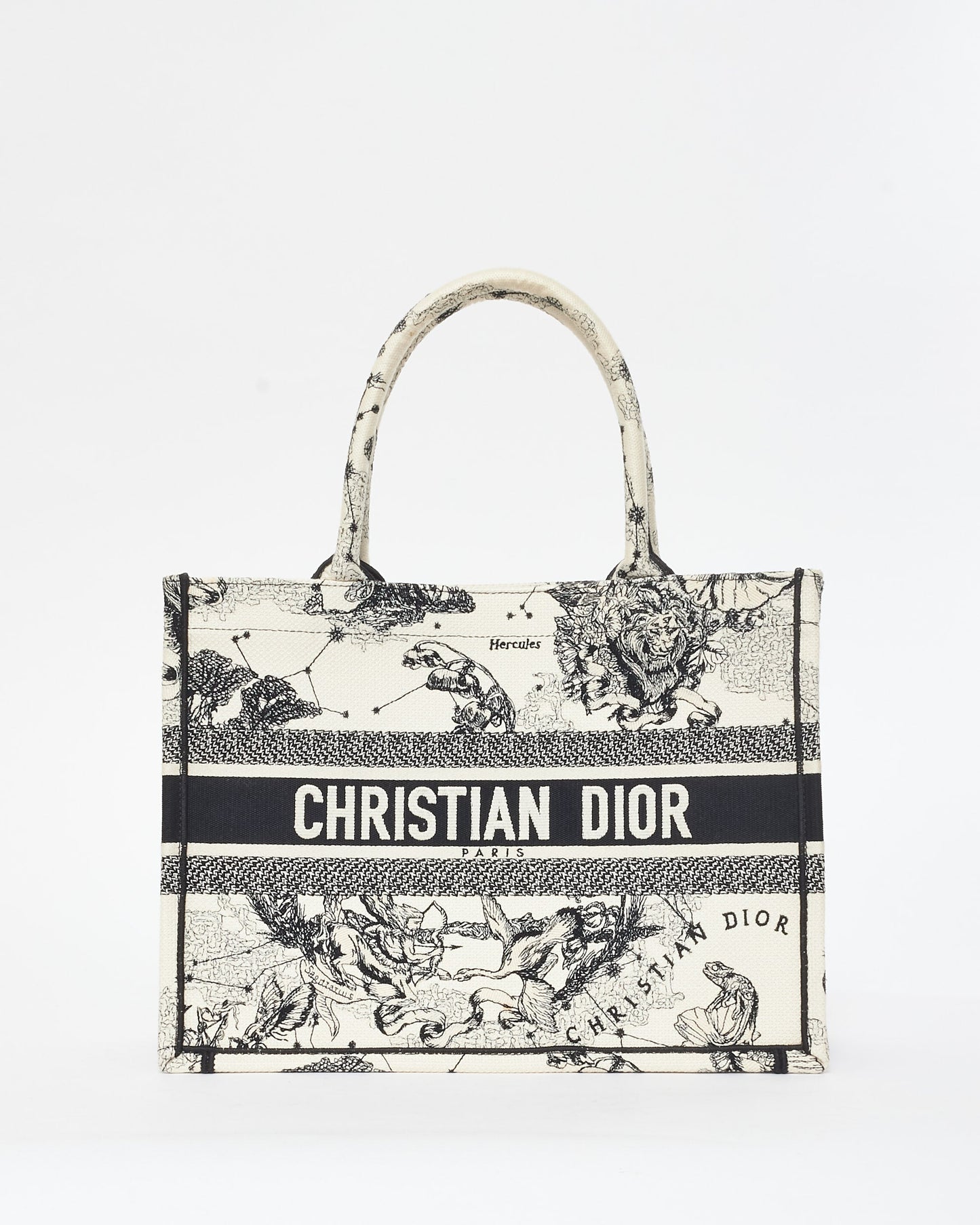 Dior Book Tote Canvas Tote