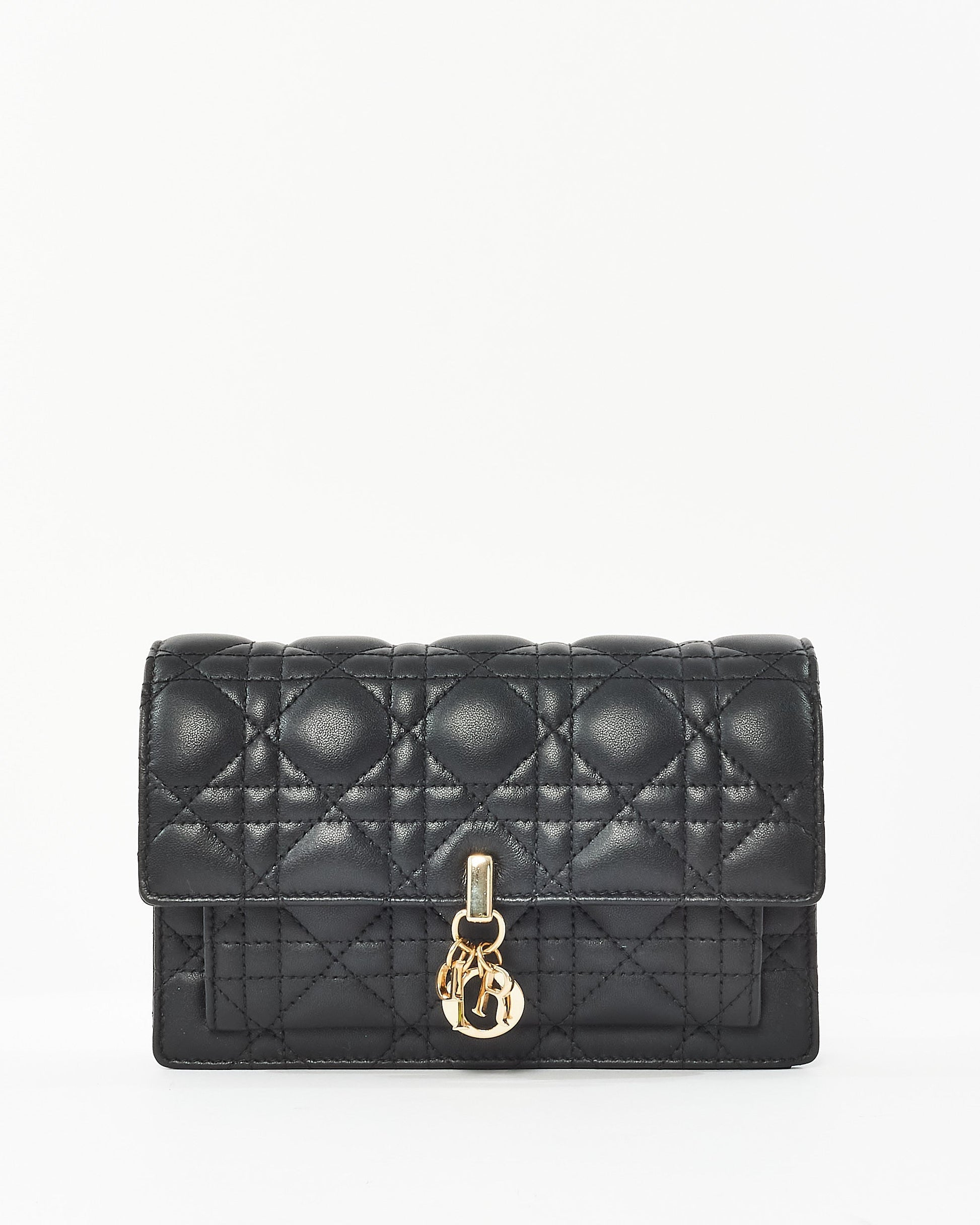 Dior Chain Leather Crossbody