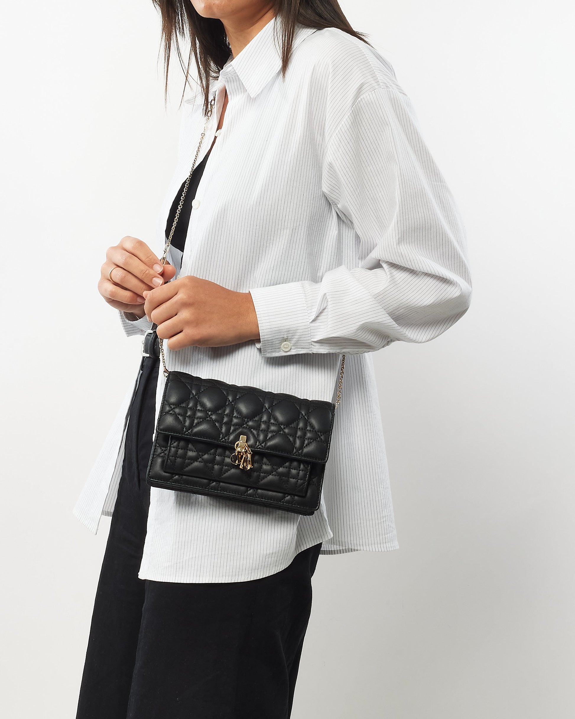 Dior Chain Leather Crossbody