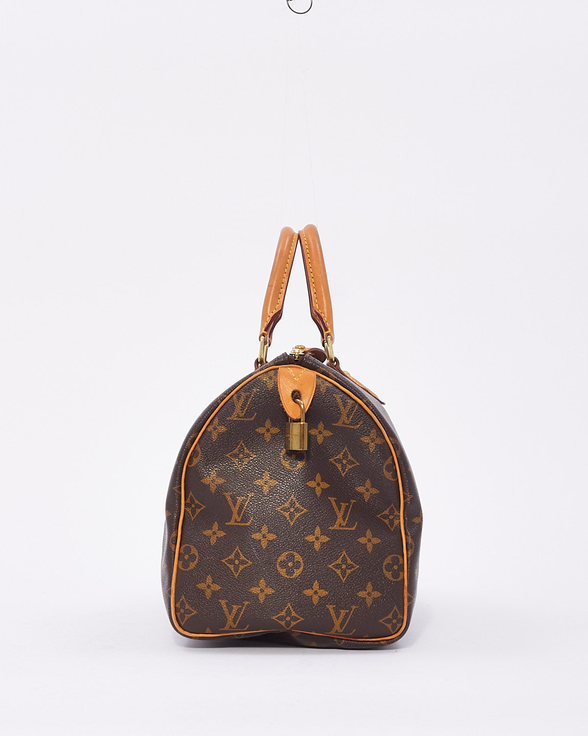 Louis Vuitton Monogram Canvas Bag