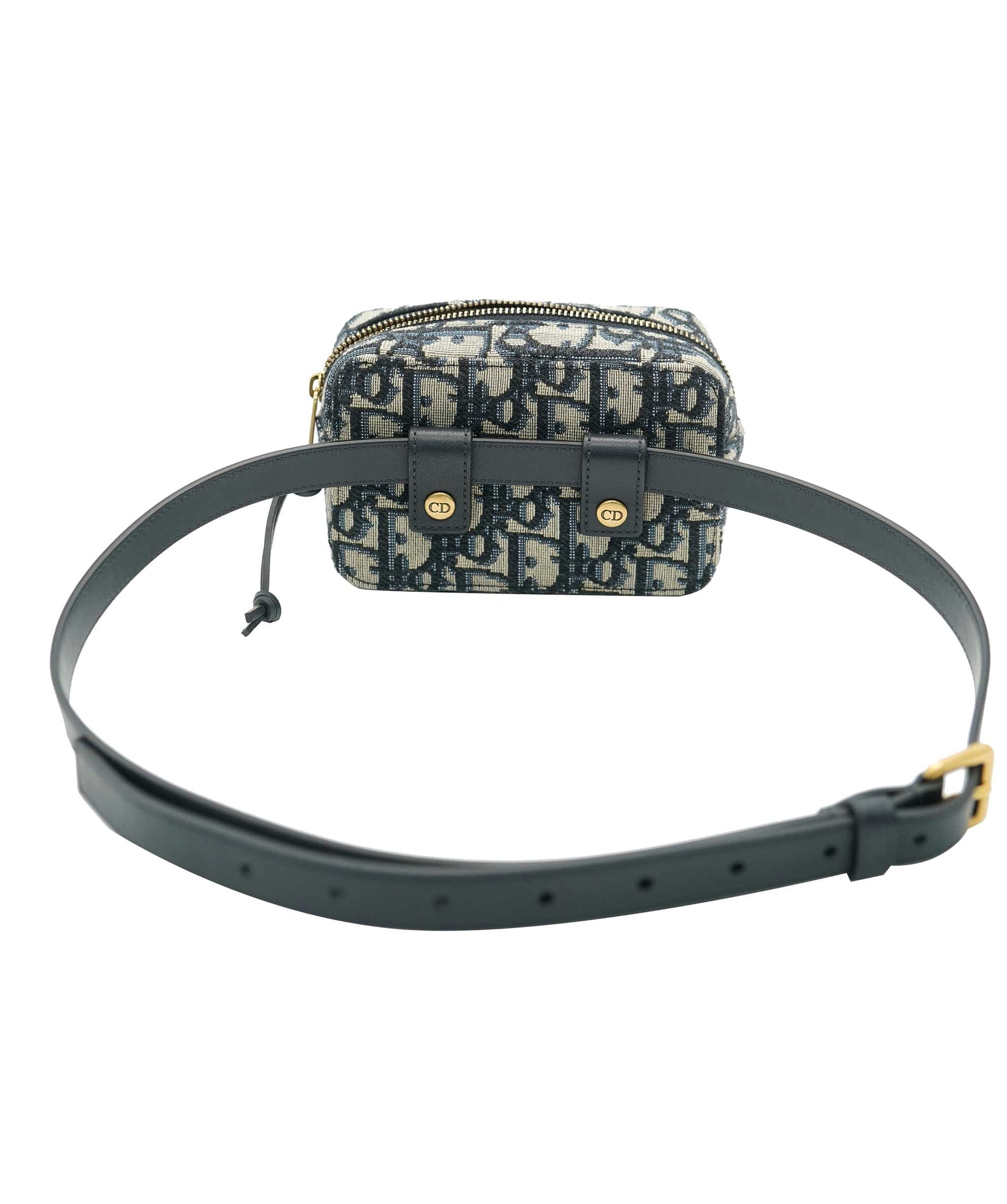 Dior Lou Chain Leather Clutch