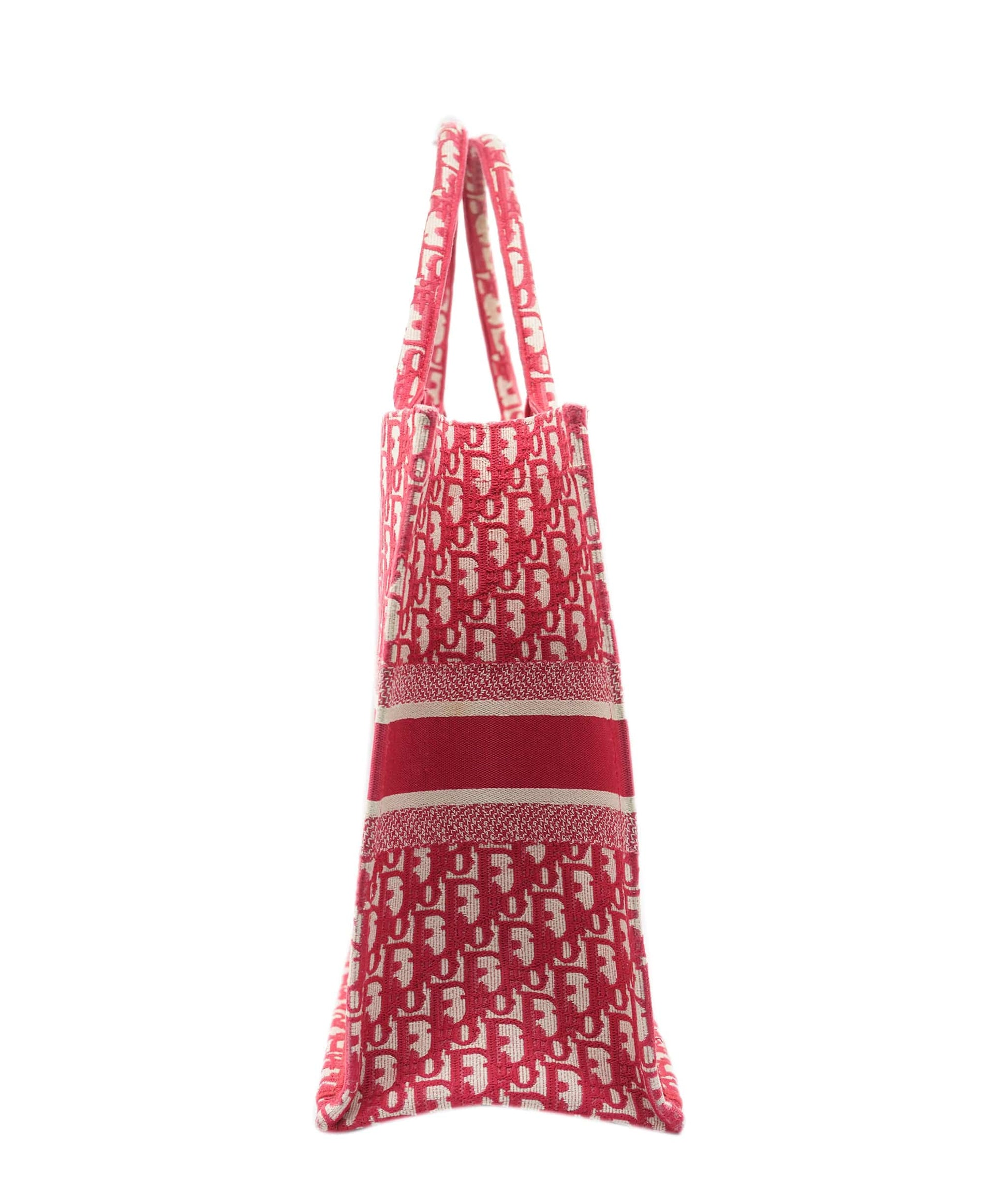 Dior Lou Book Tote Tote