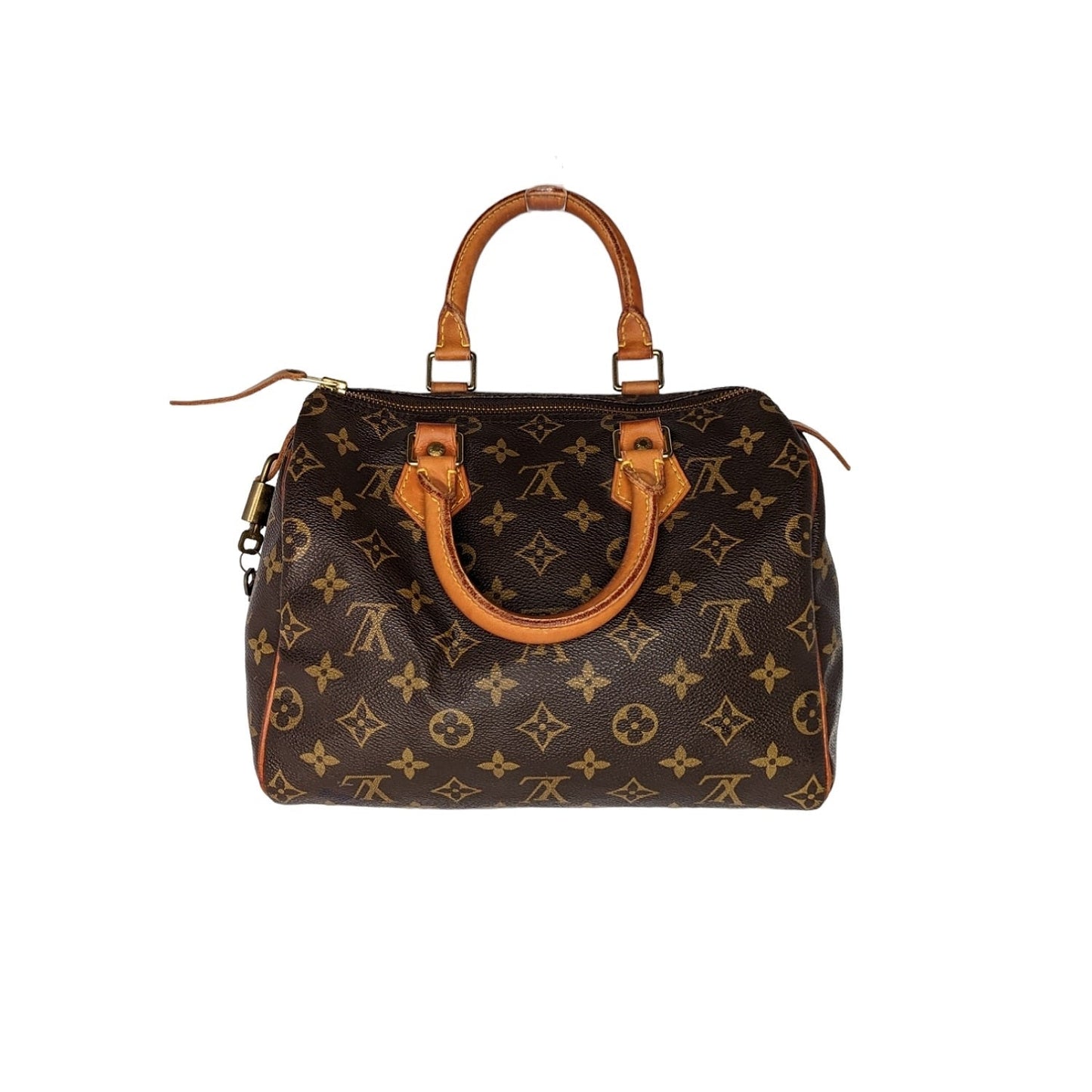 Louis Vuitton Monogram Canvas Bag