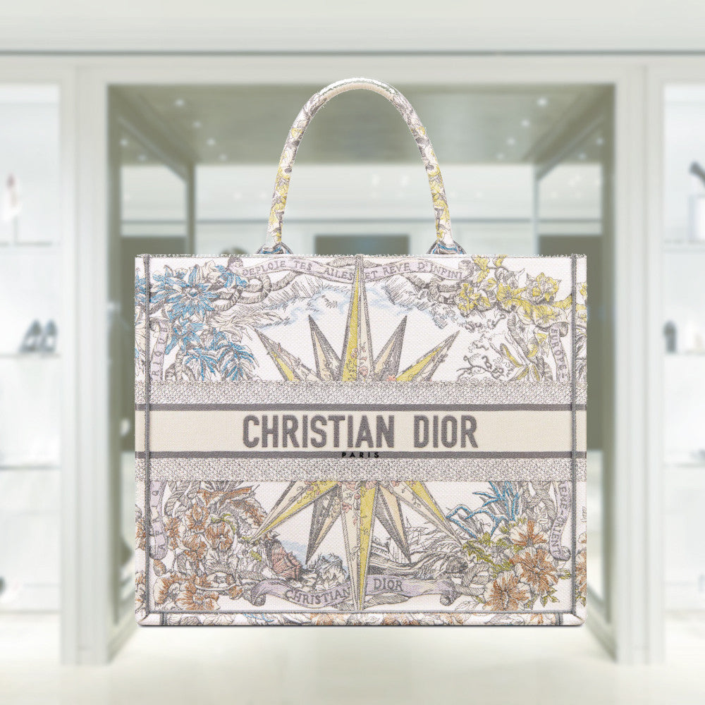 Dior Book Tote Tote