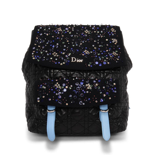 Dior Lou Backpack