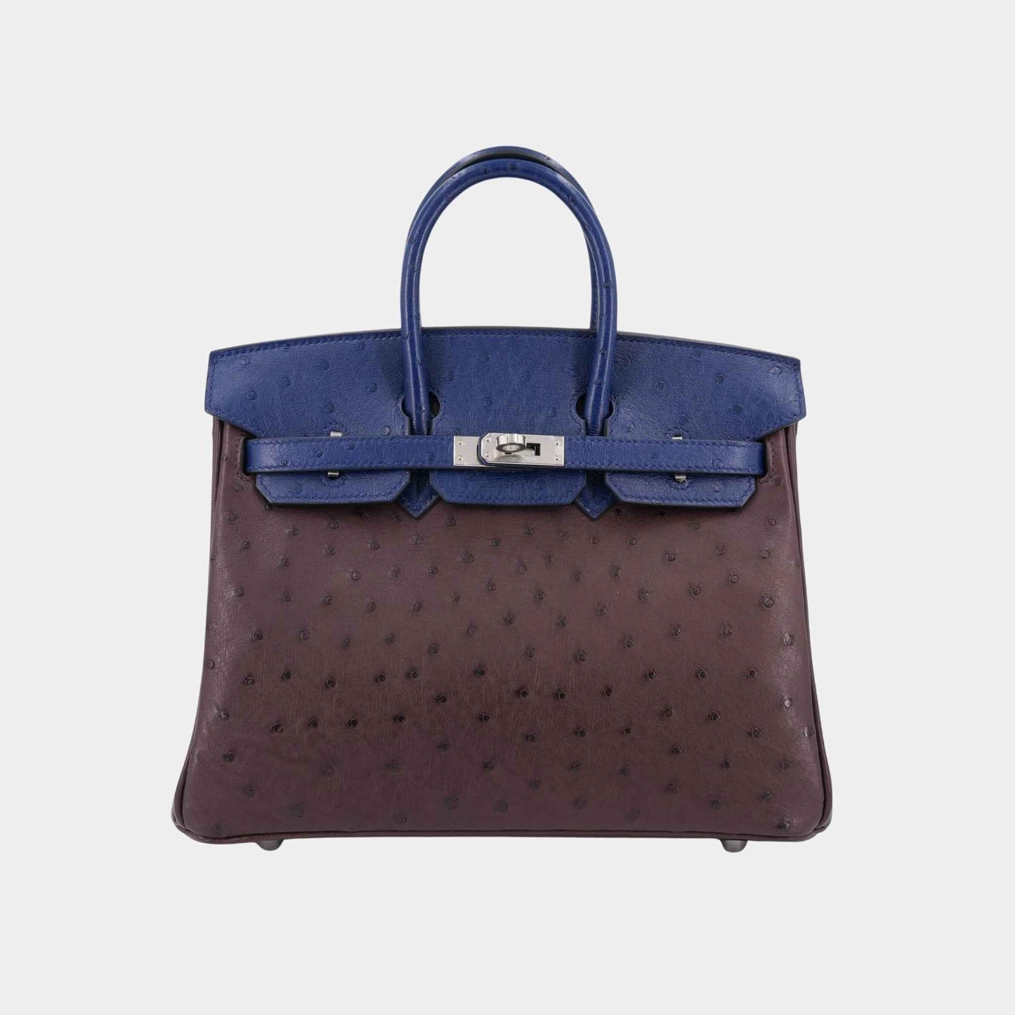 Birkin 25 Ostrich Rouge Sellier/ Bleu Iris PHW