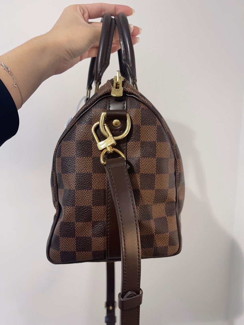 Louis Vuitton Damier Ebene Brown Handbag
