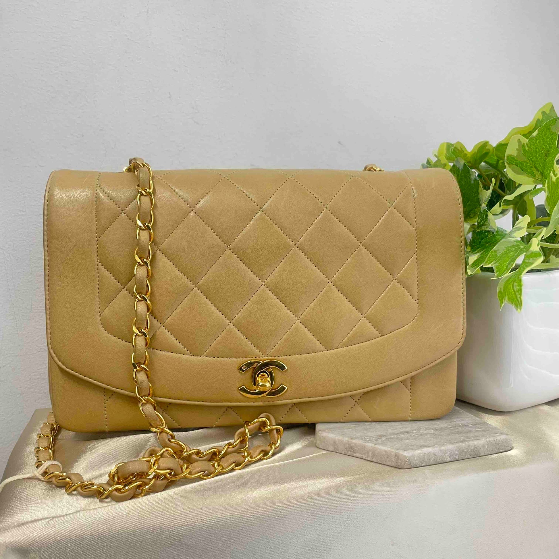 Chanel Diana Shoulder Bag - Almora Bags